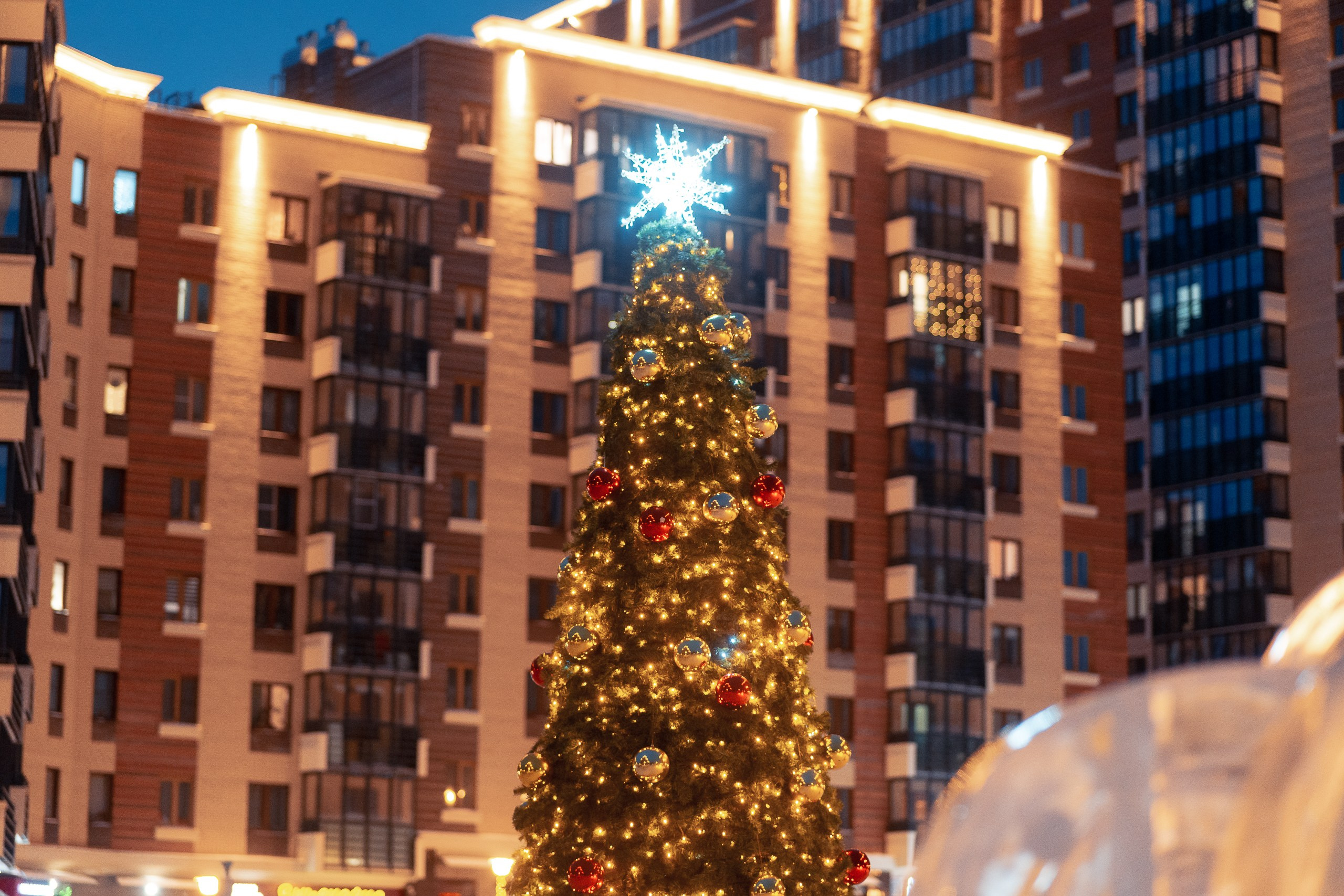 Сити-район «Академгородок». Репортажный фотограф Красноярск Алекс Чампакхам
