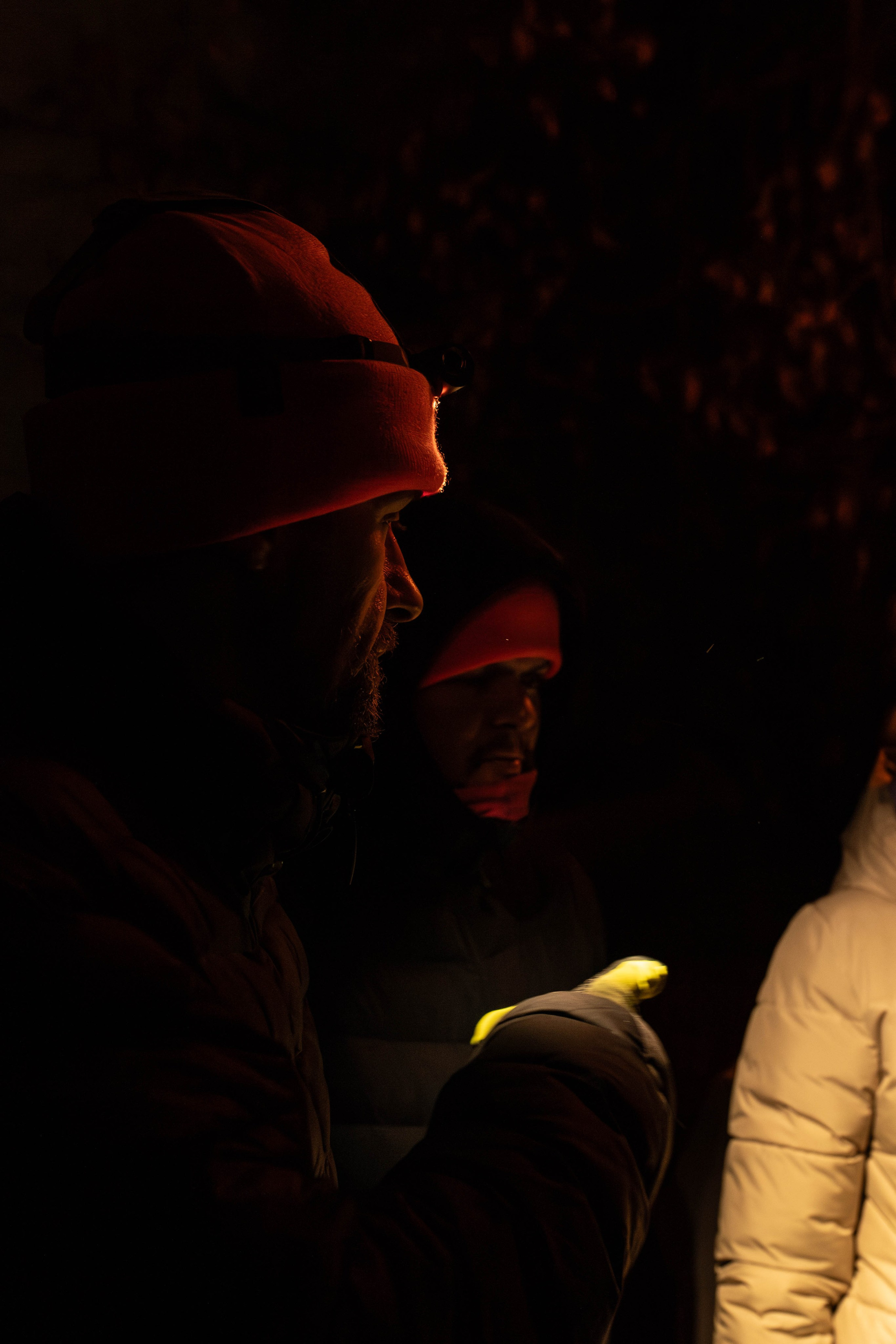 Зеленое Кольцо Москвы 2024. Фотограф Диана Иремадзе