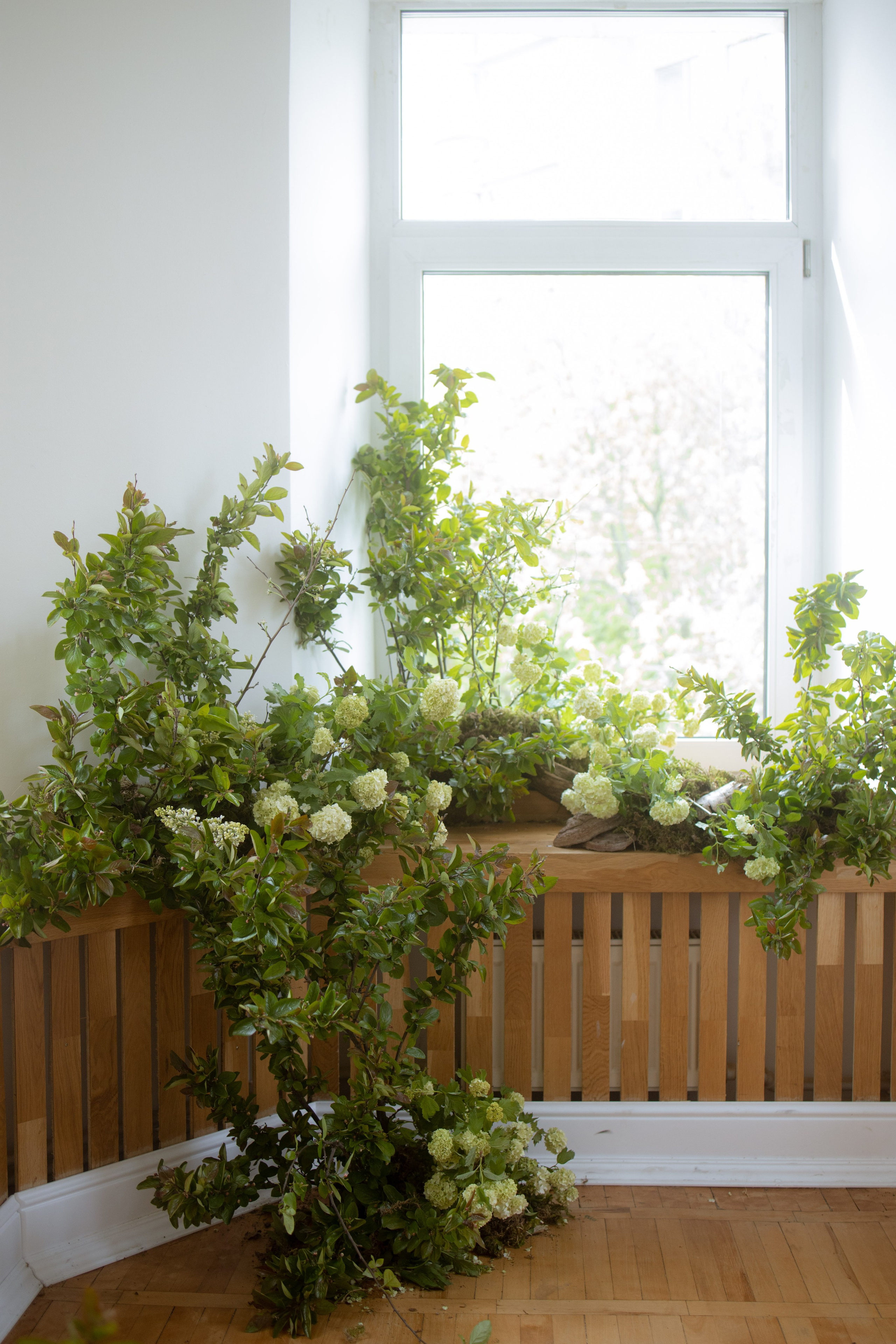 Утро Есении. Оформление свадеб, декор свадеб Вера Маркова, Москва