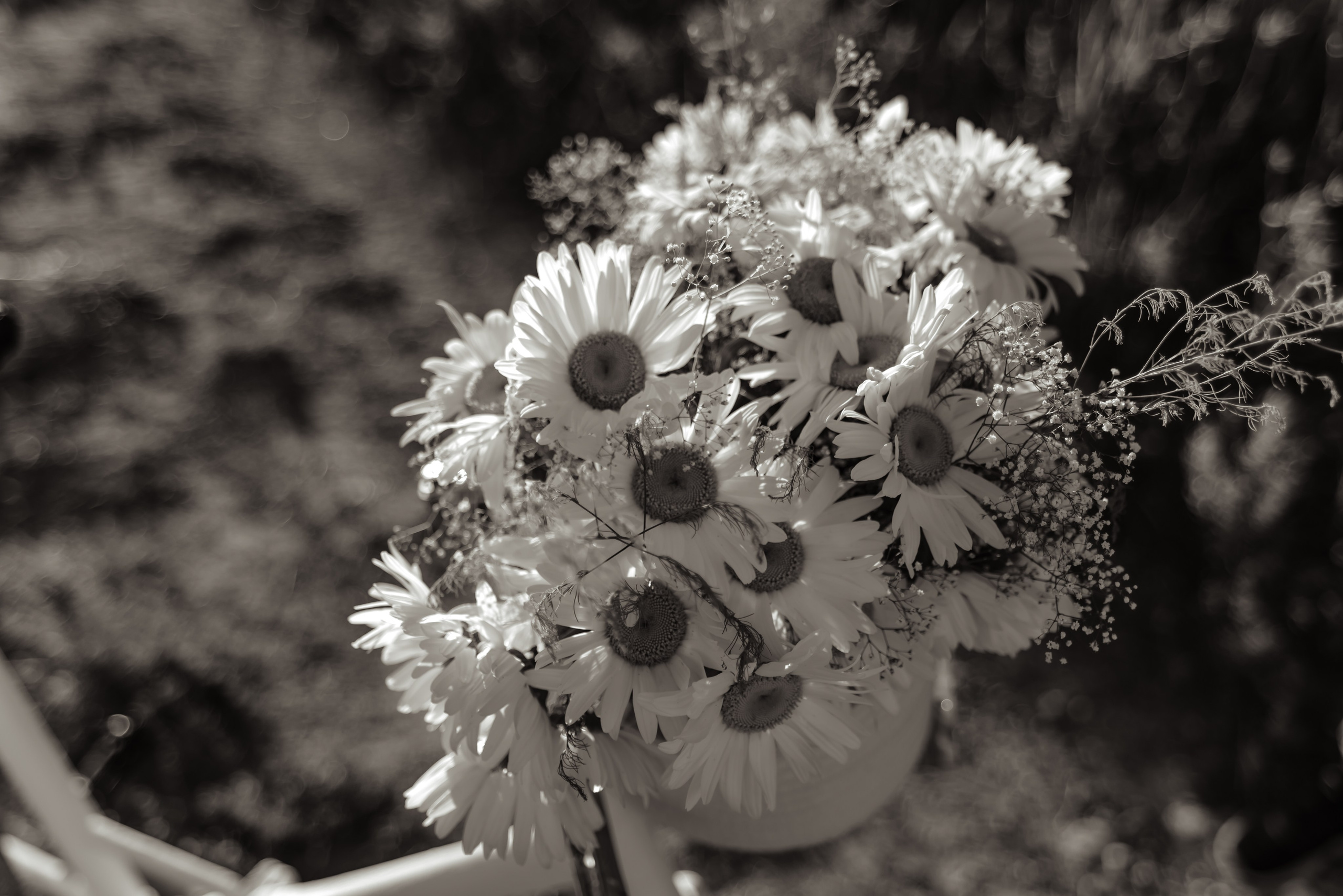 Влад и Анна — прогулка. Фотограф в Саратове и Энгельсе — Склярова Дарья