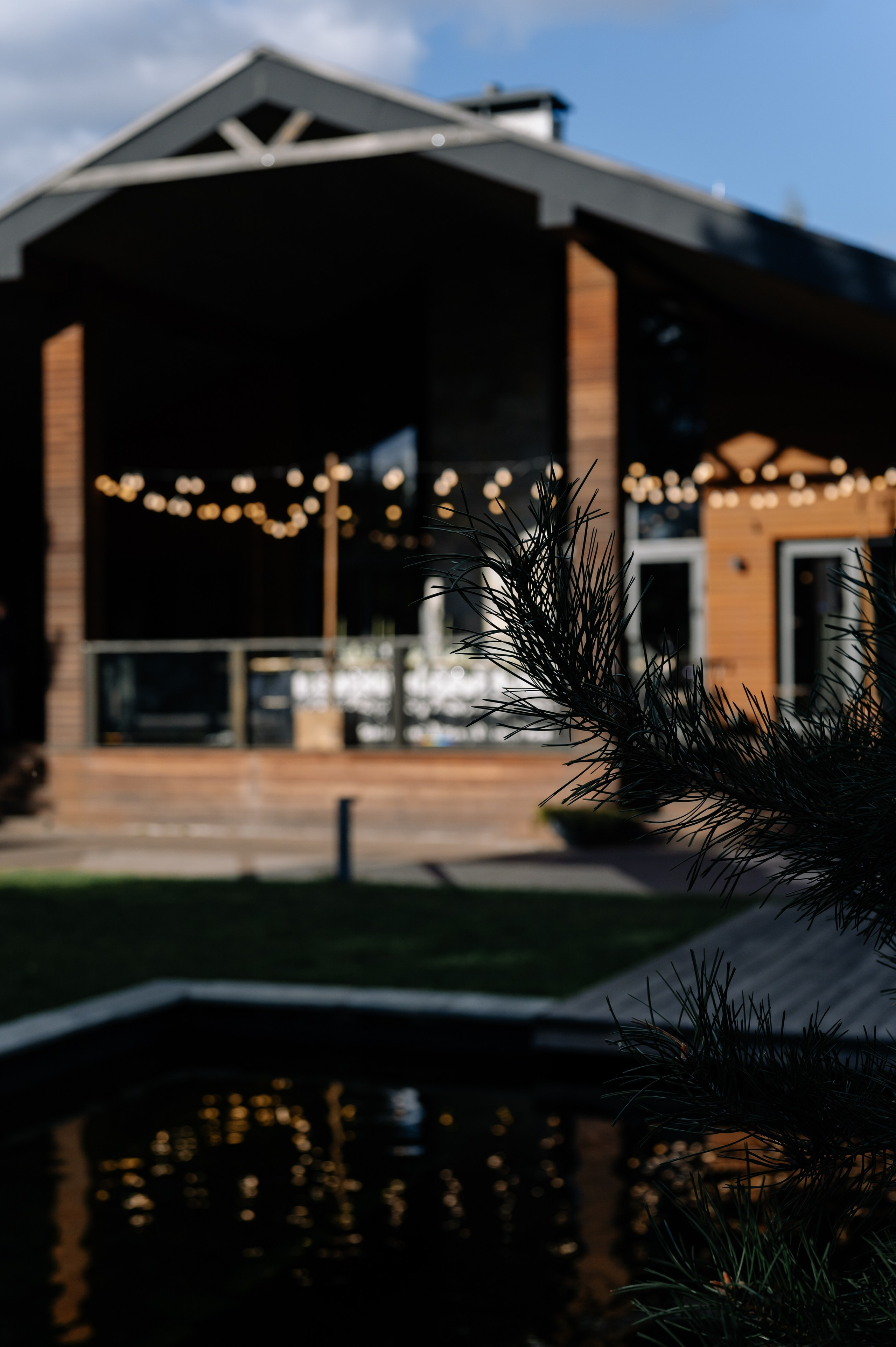 Алексей и Анастасия. Свадебный фотограф Минск, Пинск, Брест, Гродно Чернигов Андрей