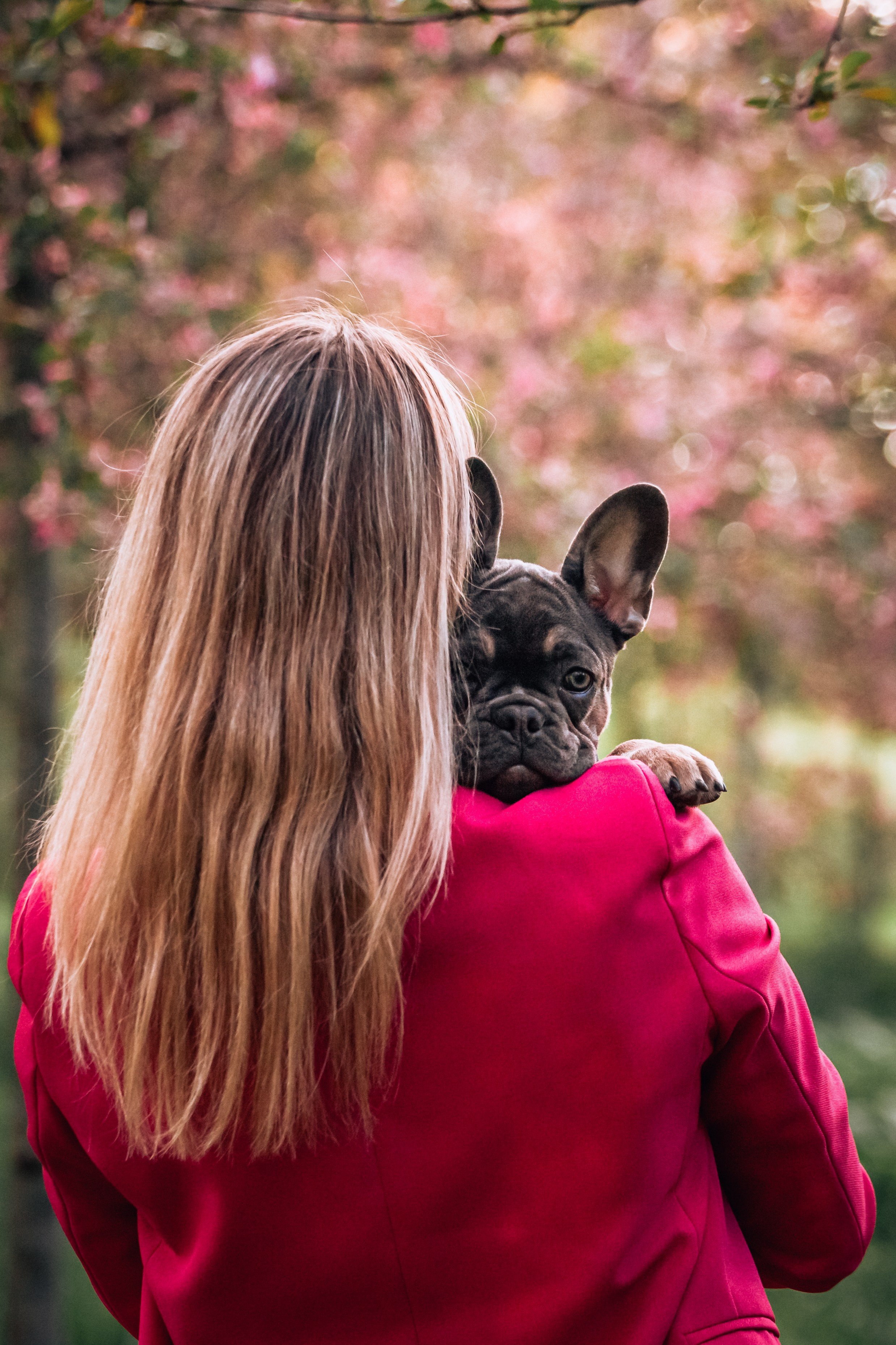 Даша и Мишель. Фотограф-анималист Татьяна Степанова