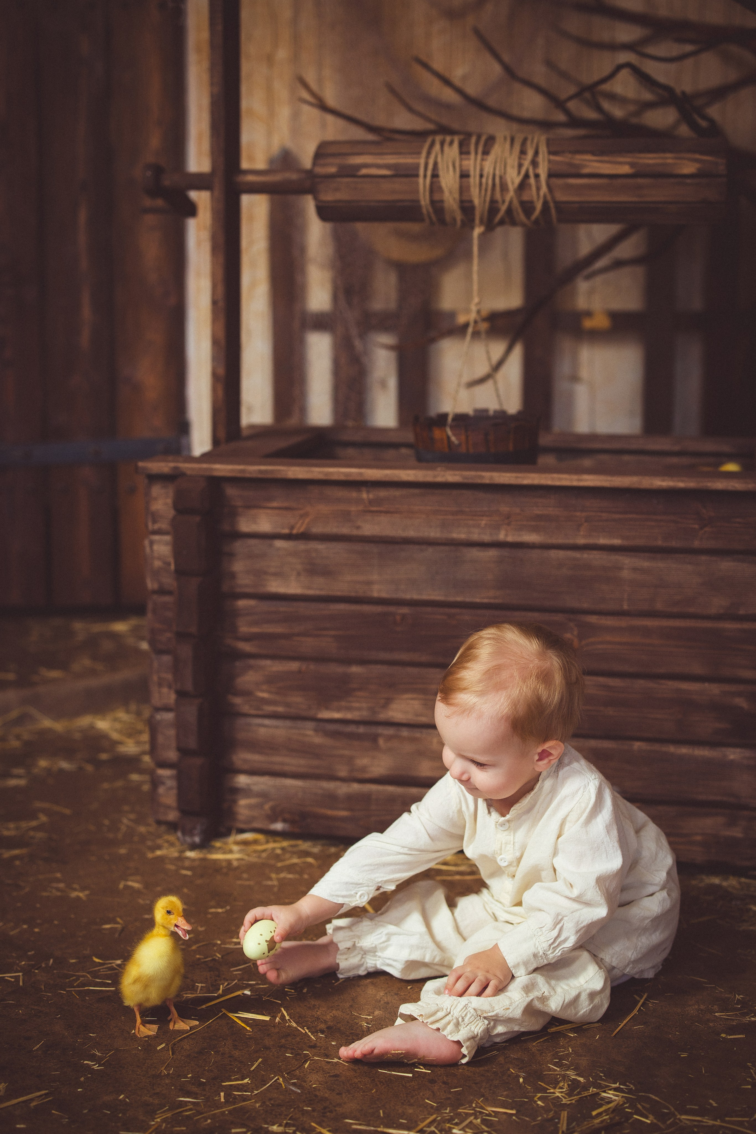 Пасхальный фотопроект с козочкой и утятами, в фотостудии «Эль» 2024 г. Семейный и детский фотограф в Краснодаре Анна Трашкова