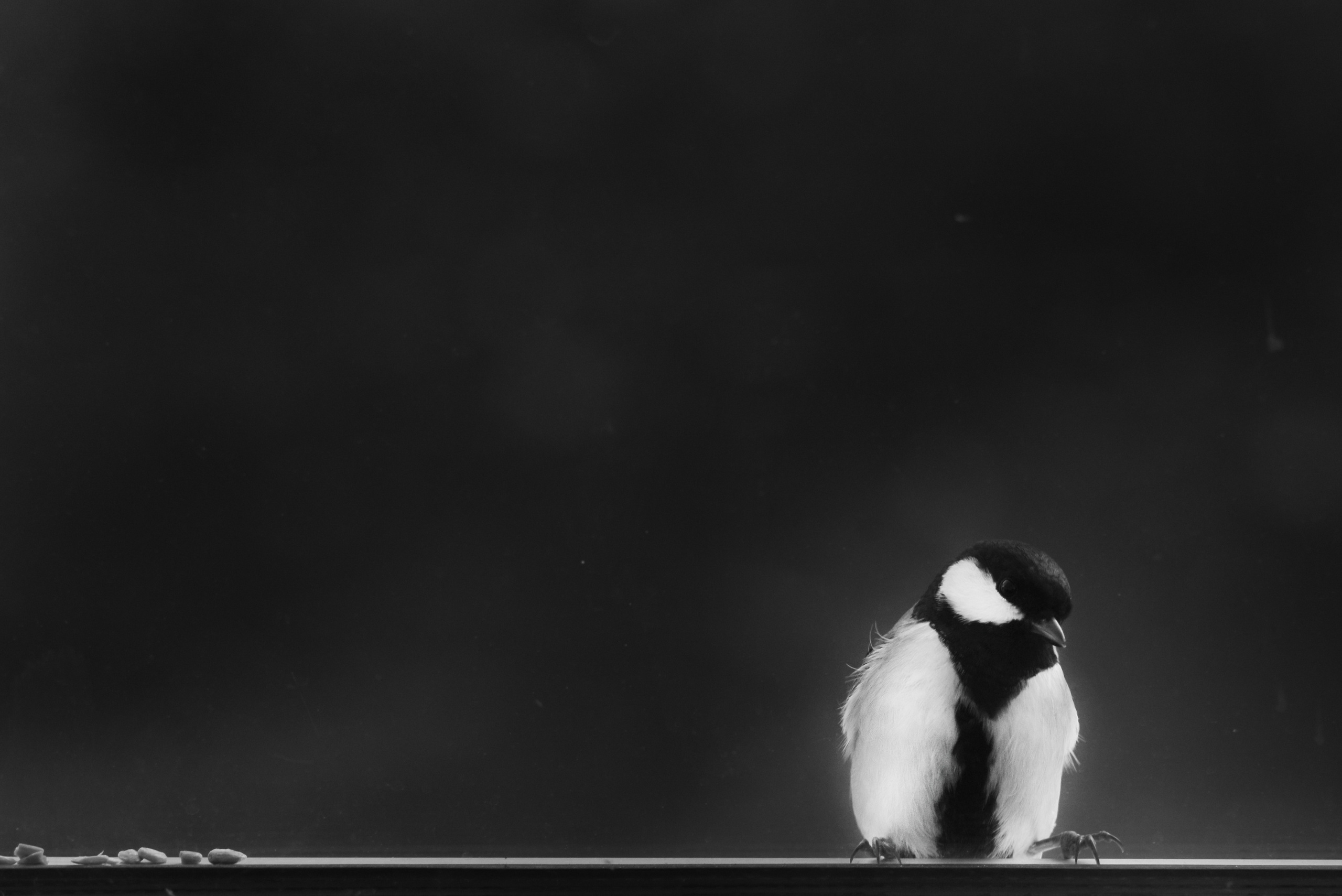 ЧБ  пейзажи (BnW landscape). Фотограф (photographer) Lischinski Vitaliy