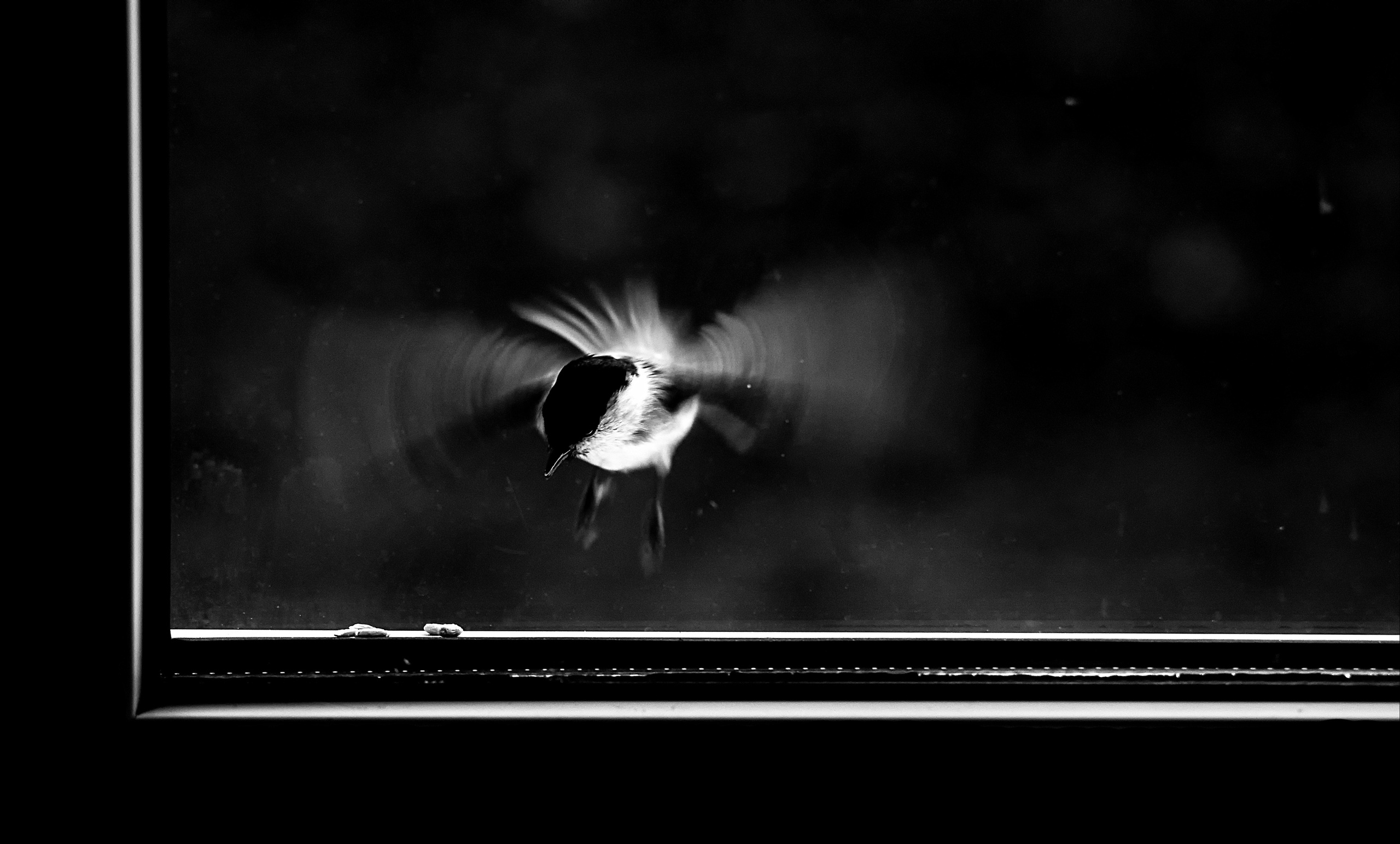 ЧБ  пейзажи (BnW landscape). Фотограф (photographer) Lischinski Vitaliy