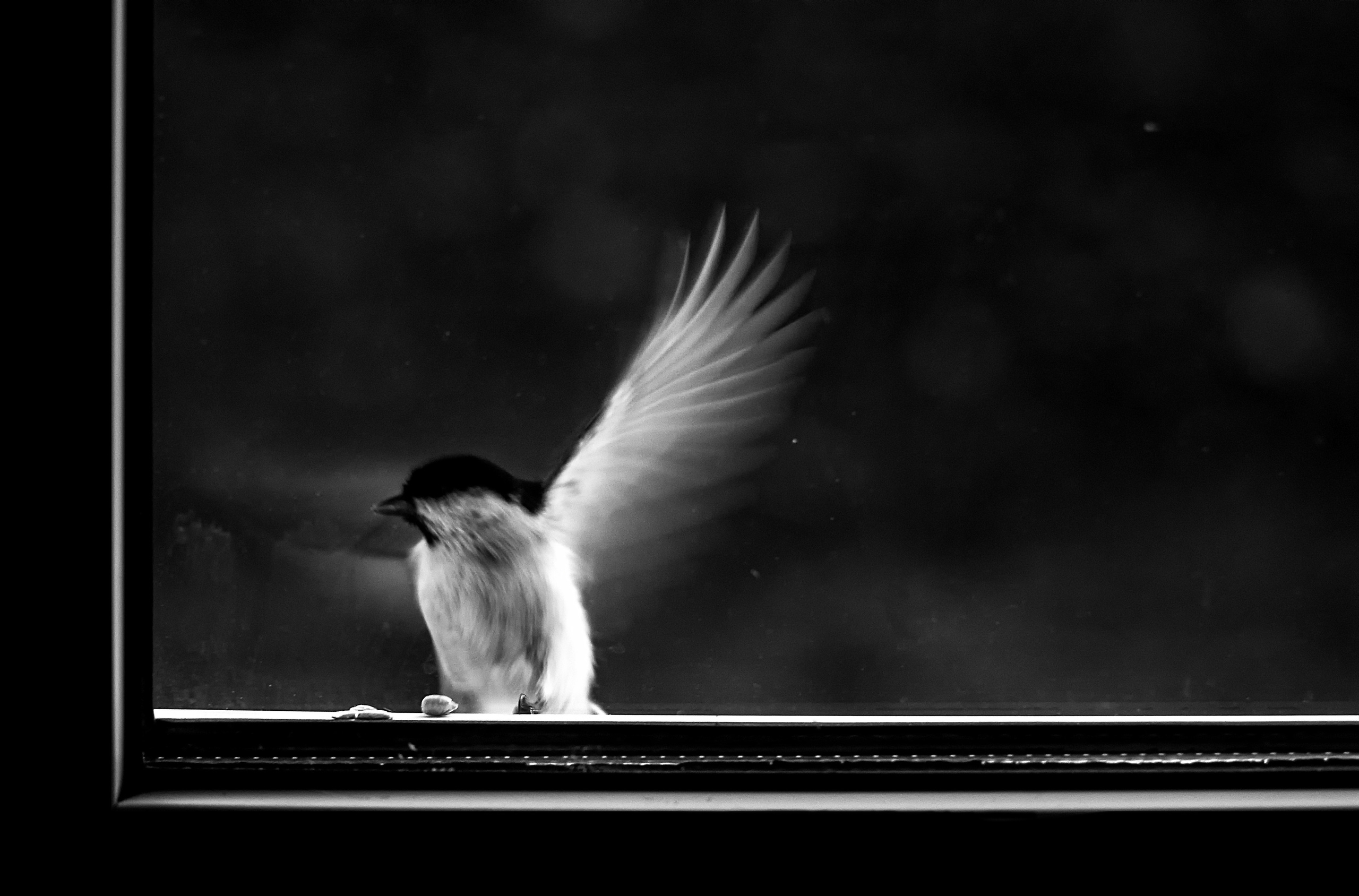 ЧБ  пейзажи (BnW landscape). Фотограф (photographer) Lischinski Vitaliy