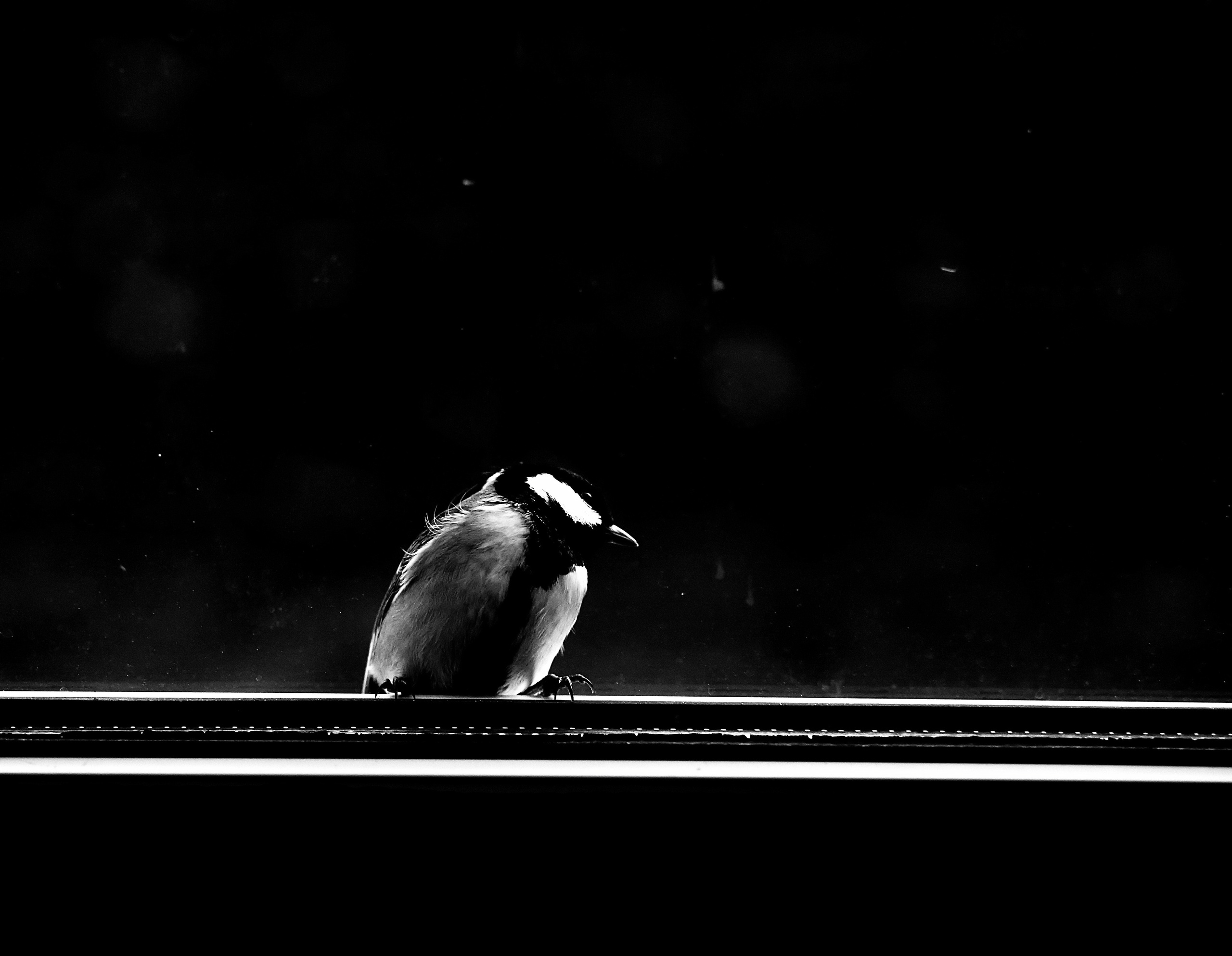 ЧБ  пейзажи (BnW landscape). Фотограф (photographer) Lischinski Vitaliy