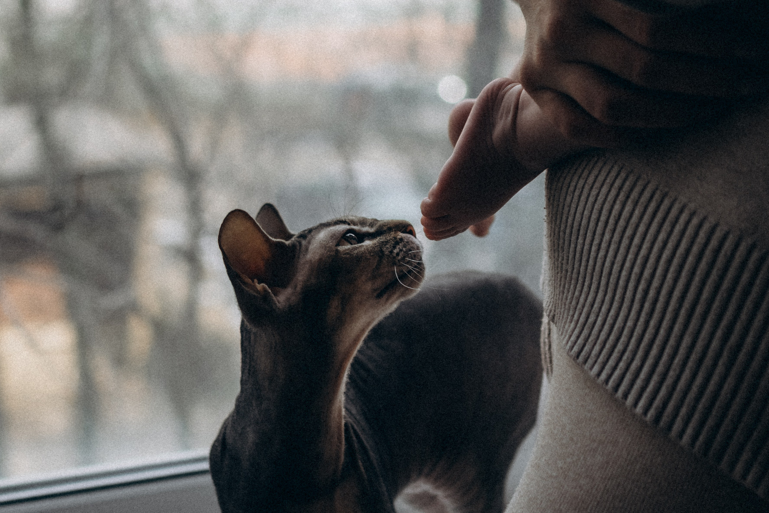 Даша c мамой. Семейный и детский фотограф Москва Дарья Бугра