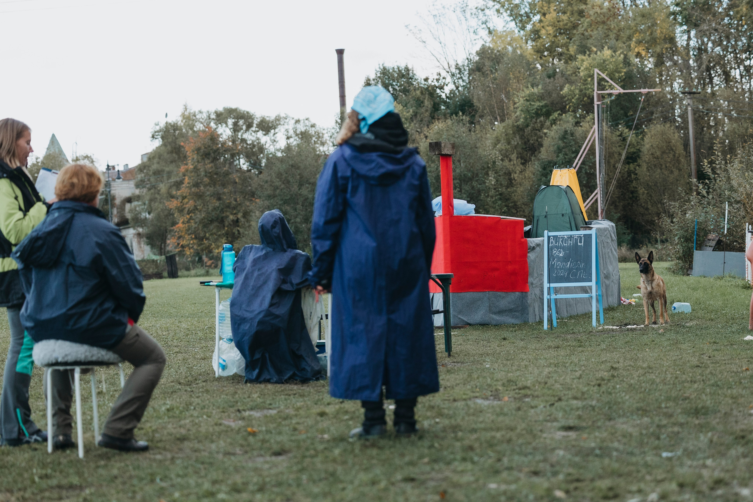 Испытания по мондьорингу г. Пушкин 29.09.2024. Фотограф-анималист Анна Маринич