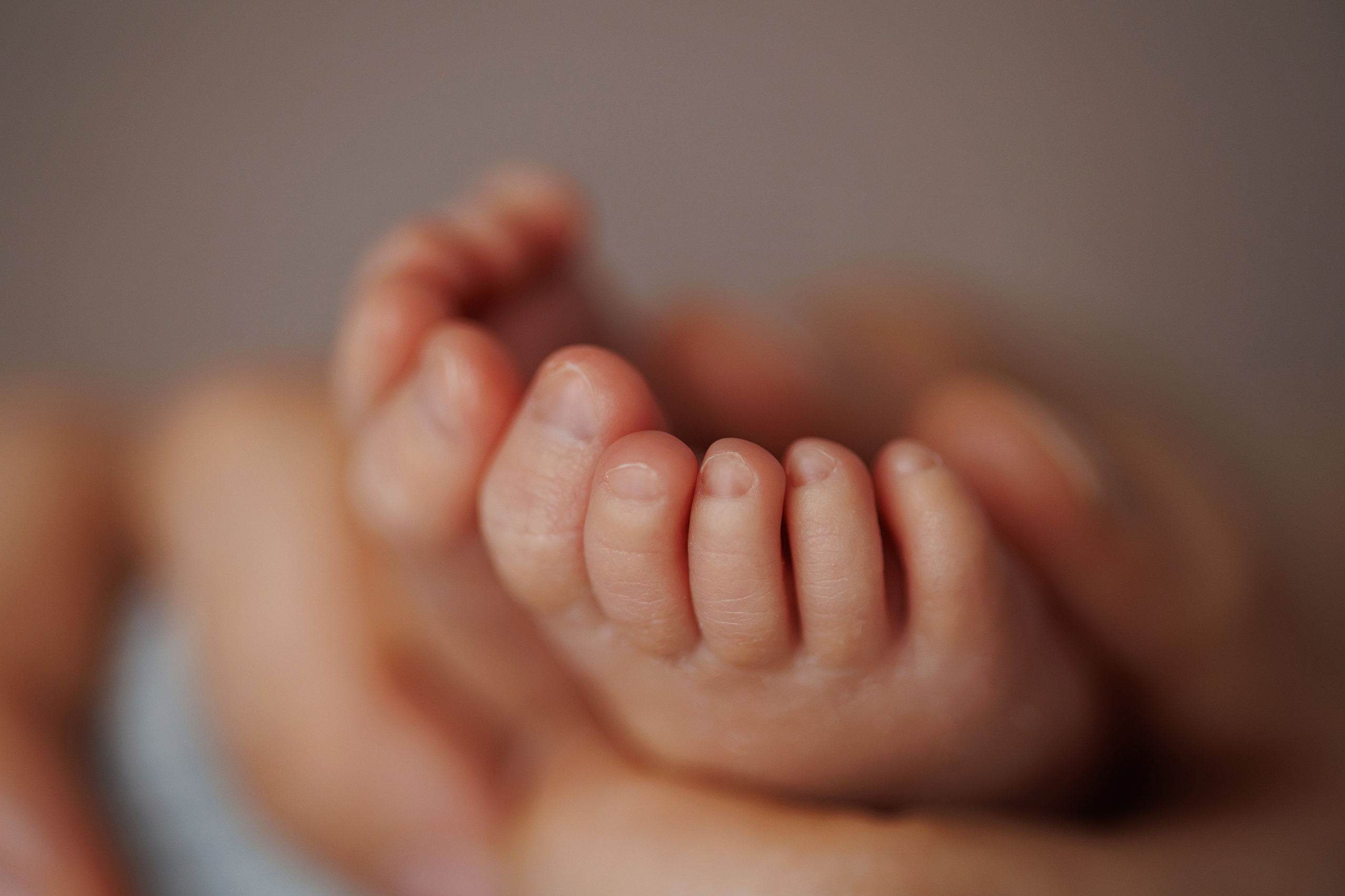 Новорожденные. Фотограф новорожденных в Сочи Екатерина Вялова