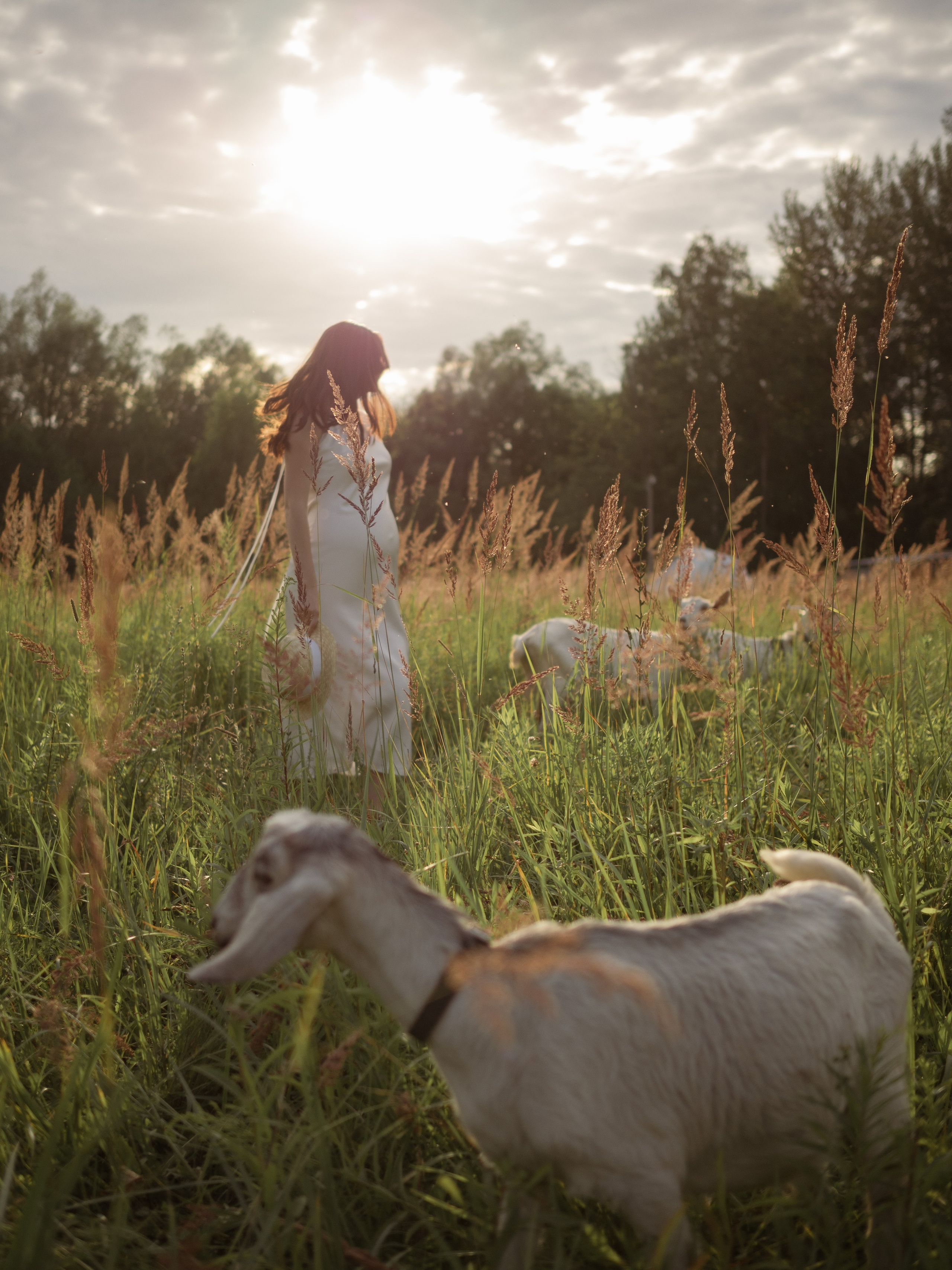Наташа беременность с лошадью. Фотограф в Нижнем Новгороде, Сарове и Москве. Оля Фролова