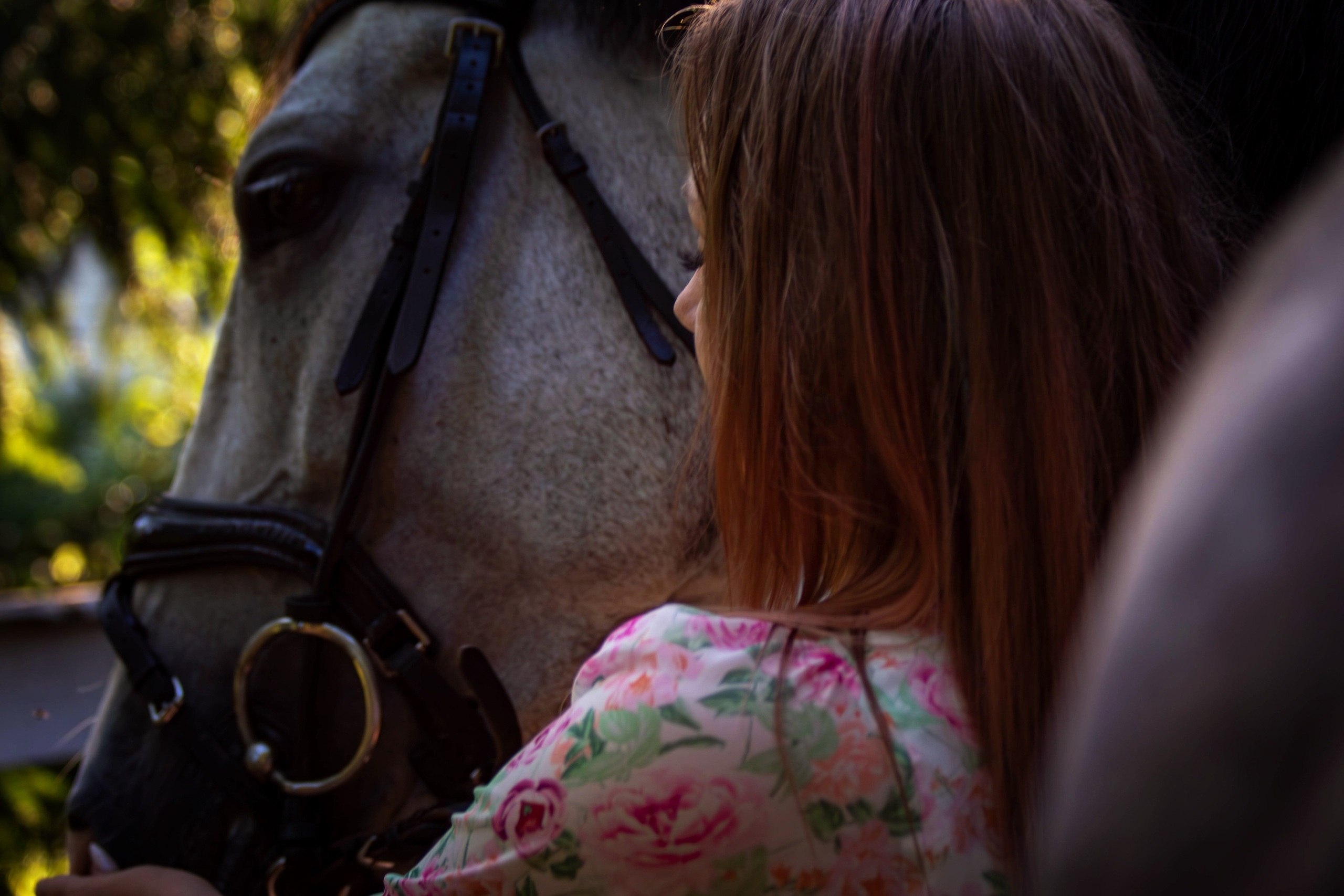 Фотосессии с лошадьми. Фотограф анималист — Тула, Москва