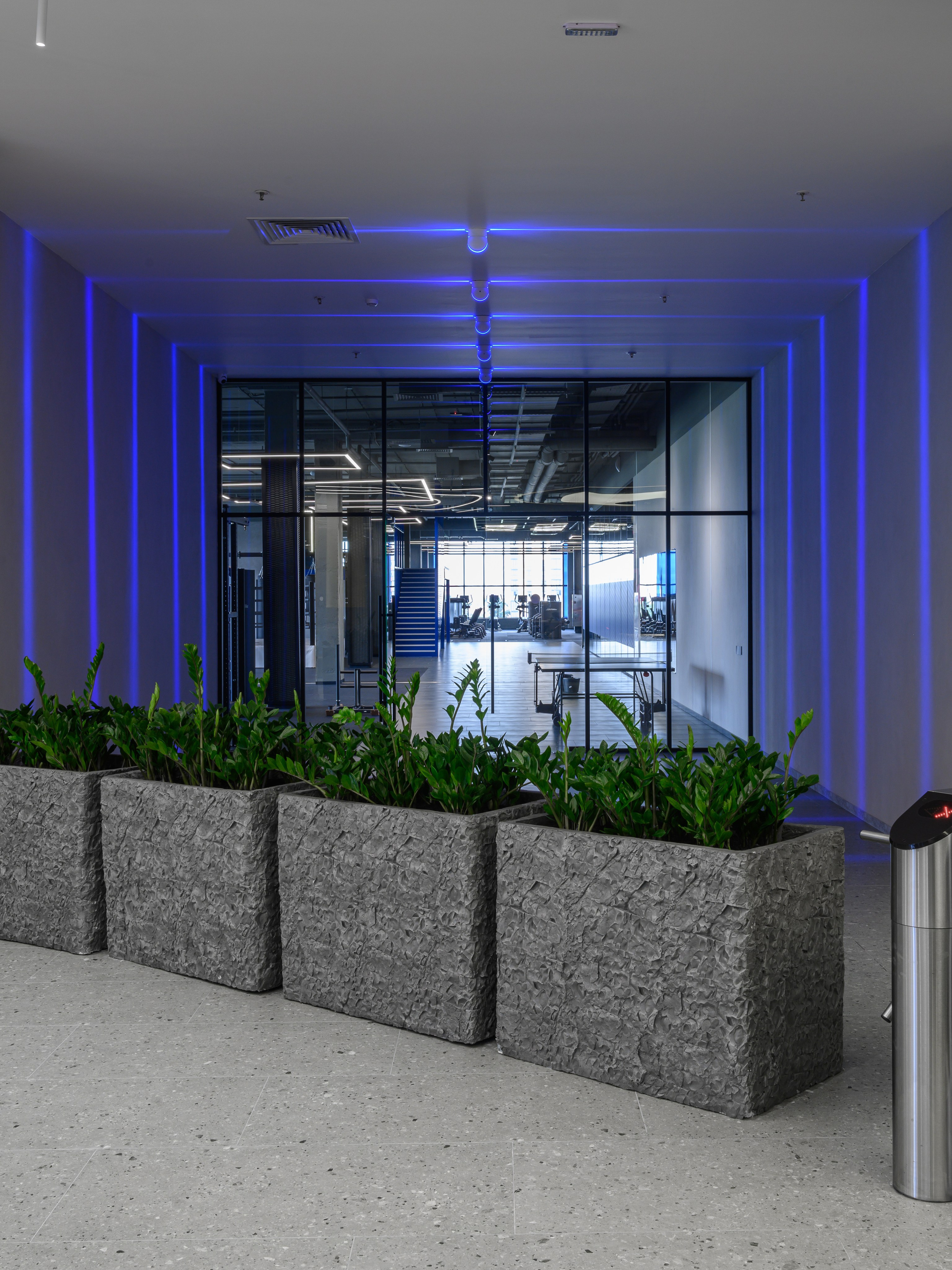 Flame fitness. Интерьерный фотограф Краснодар Денис Педань