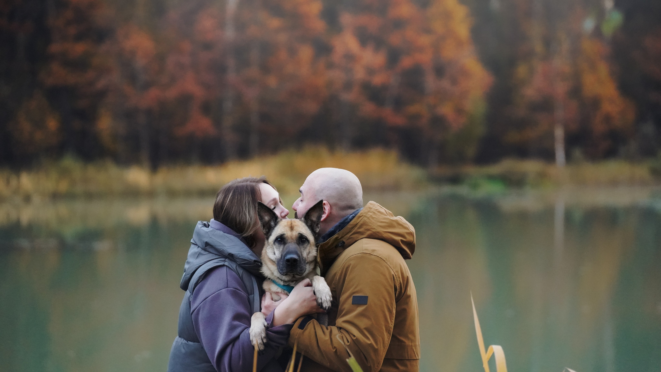Наталия, Иван и Урса. Фотограф анималист в Москве и Санкт-Петербурге Свиридова Анна