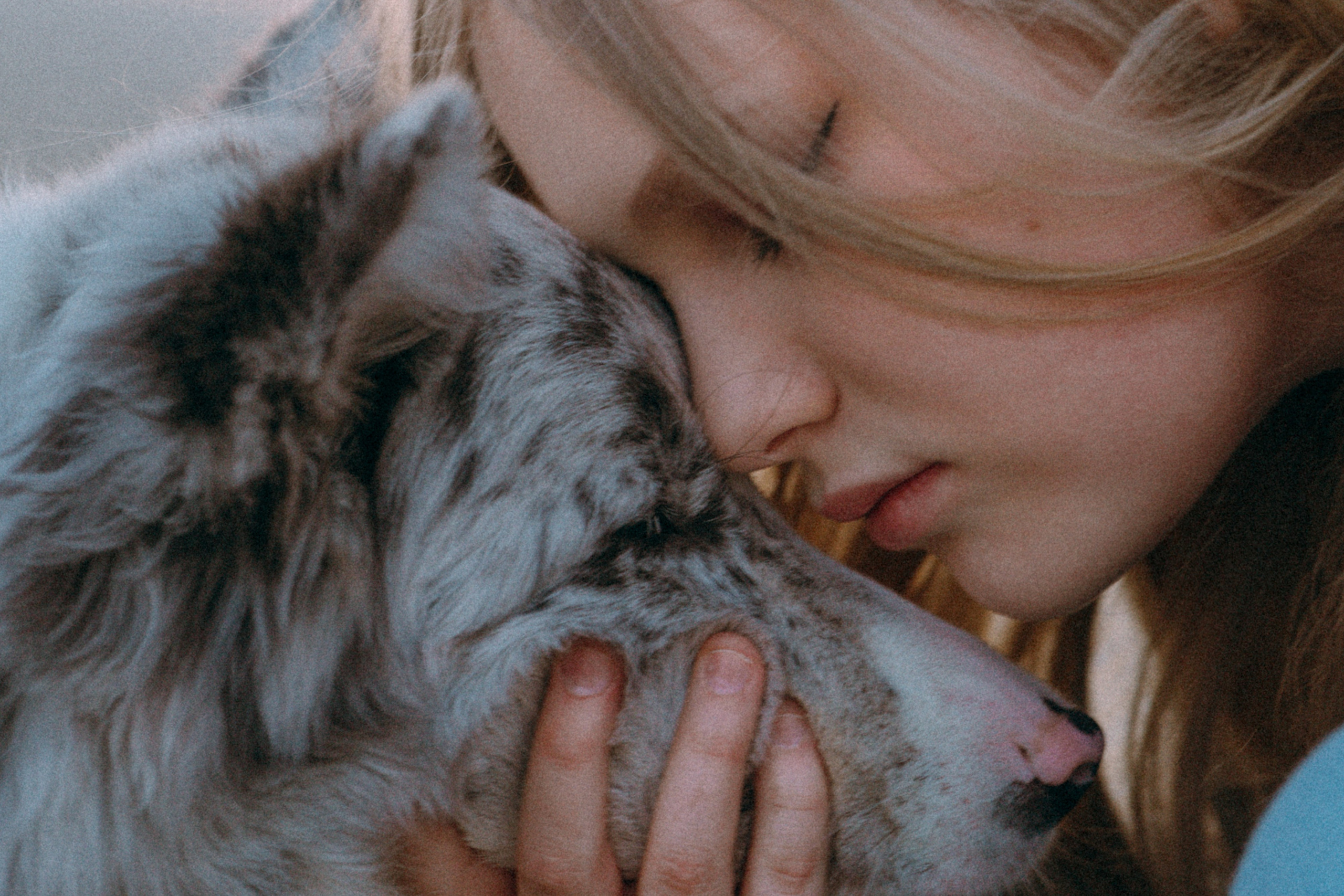 Света, Катрин и Умка. Фотограф анималист в Москве и Санкт-Петербурге Свиридова Анна