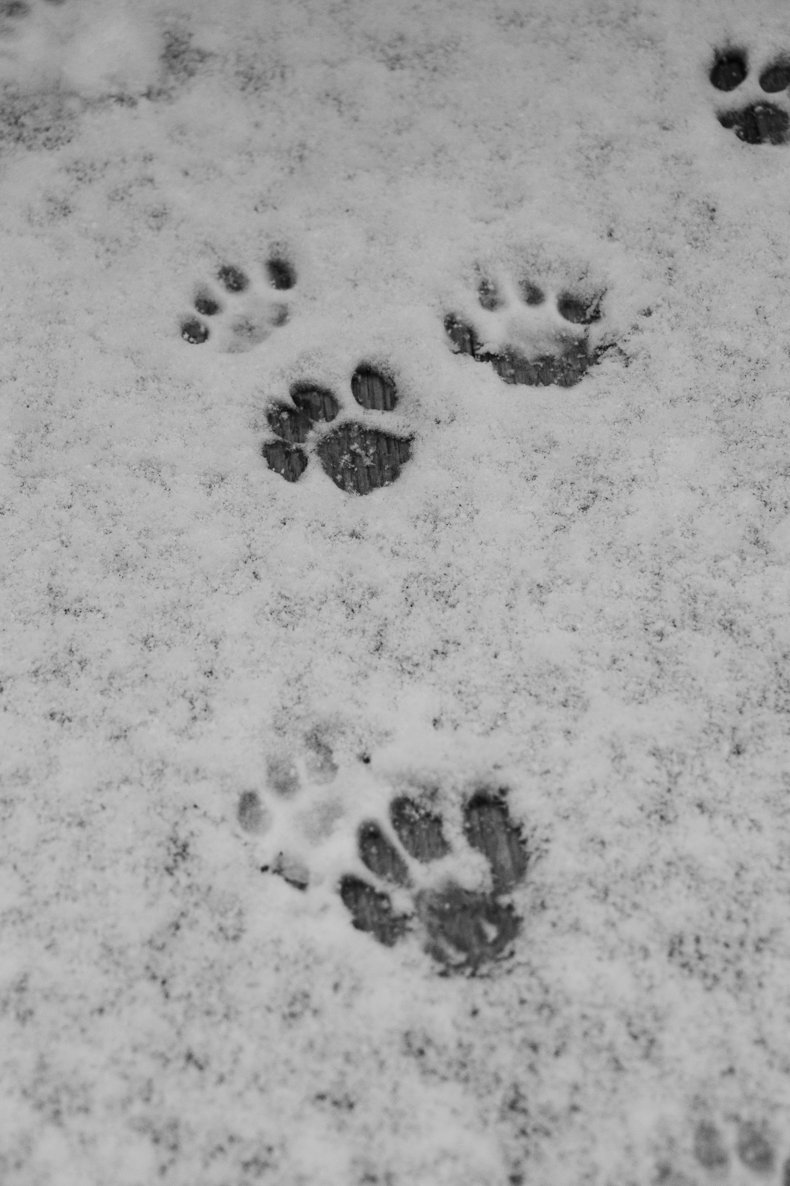 М А Р Т И Н. — Digital Noise —