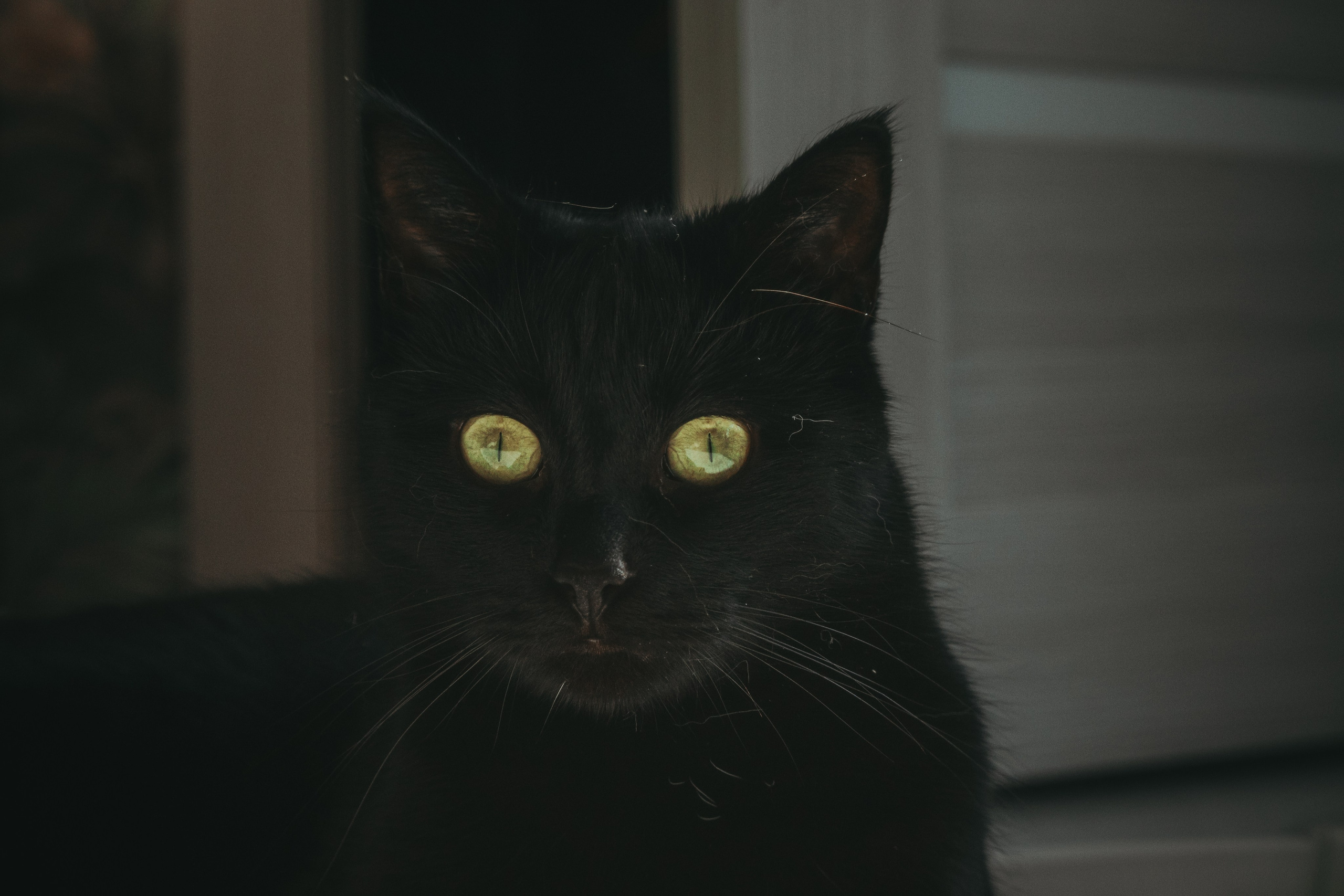 Л Ю Ц И Ф Е Р. — Digital Noise —