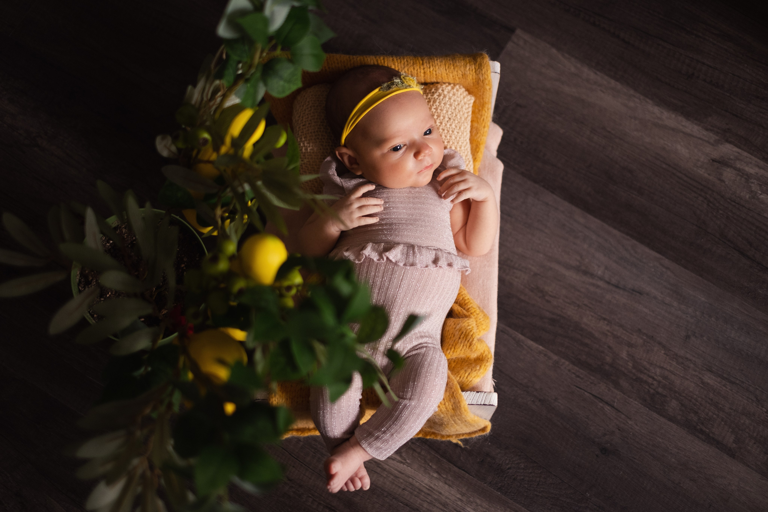 Newborn. Семейный детский ньюборн фотограф в Москве Марта Петрова