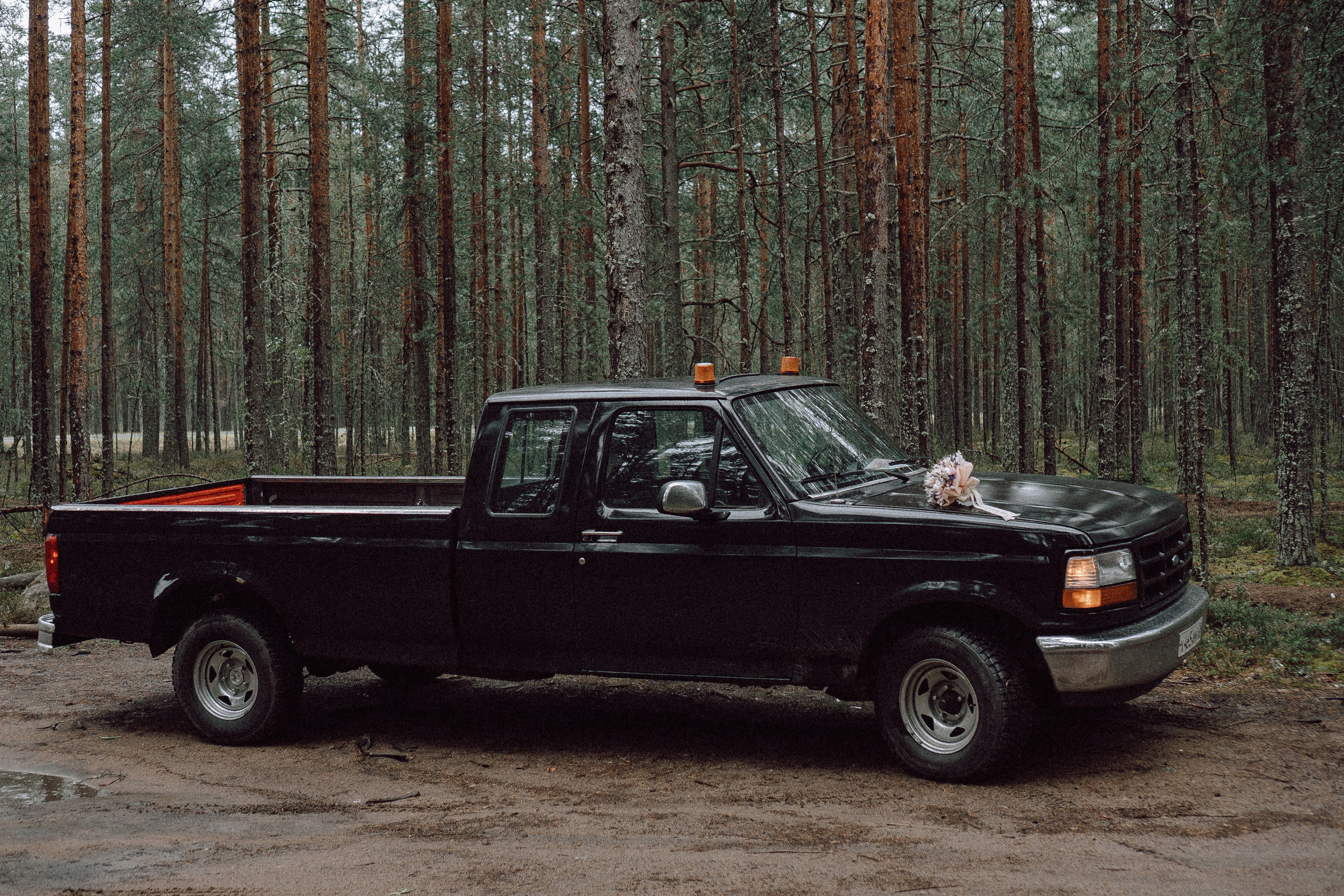 СВАДЕБНАЯ ФОТОСЕССИИЯ ПАРЫ В ГОРОДЕ ПРИОЗЕРСК В СОСНОВОМ ЛЕСУ И С ПИКАПОМ. Профессиональный фотограф, Санкт-Петербург — Виктория Богомолова