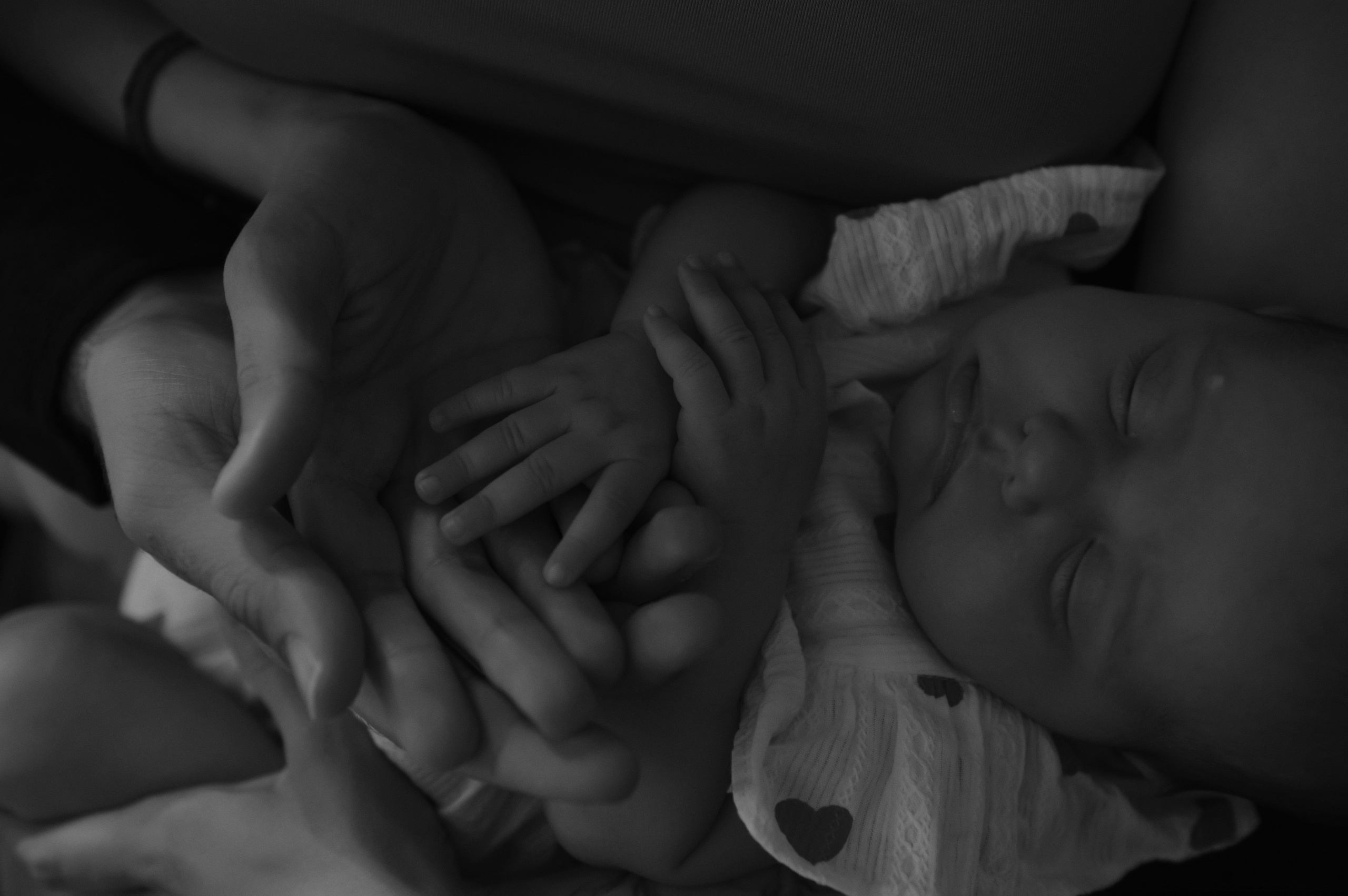 Наташа, Дима и Лера. Свадебный, портретный, фотограф беременности в Нижнем Новгороде Алина Зиновьева