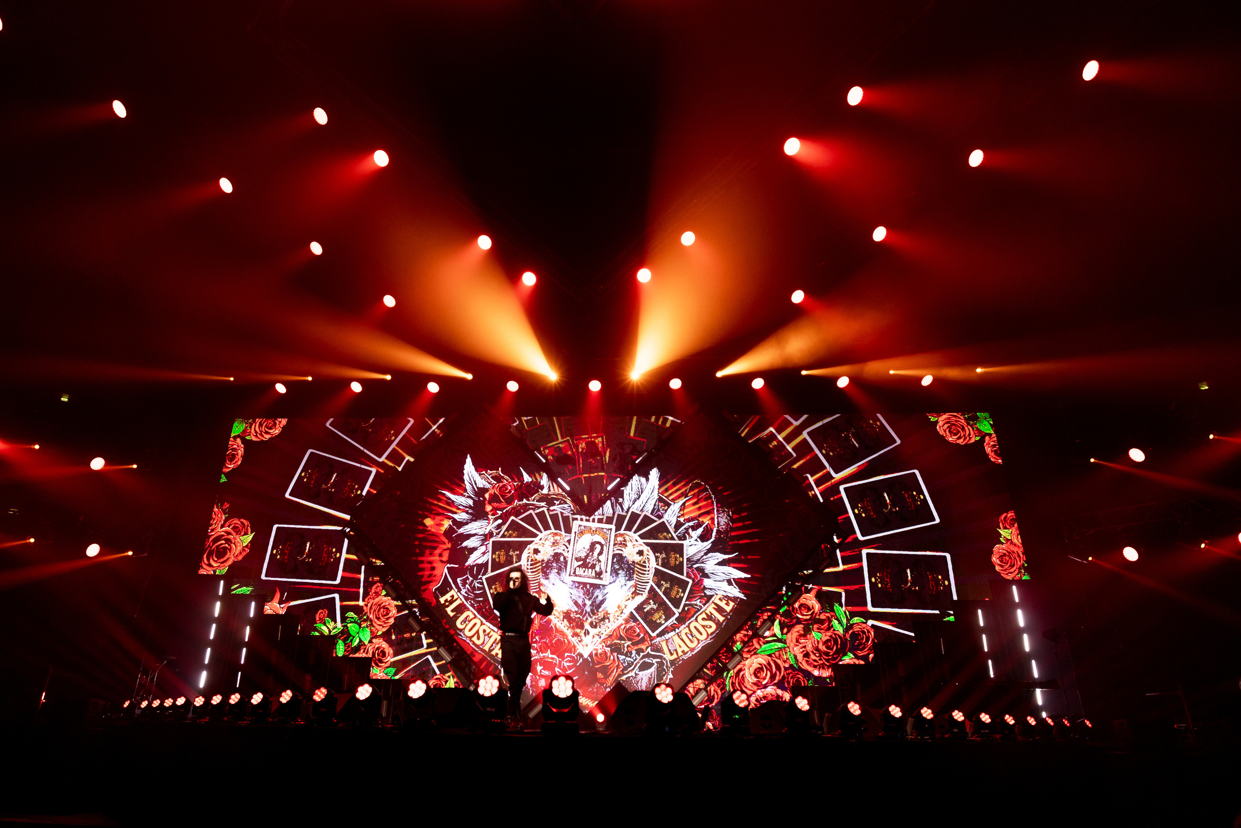 Концерты. Профессиональный фотограф в Санкт-Петербурге Алена Яшина