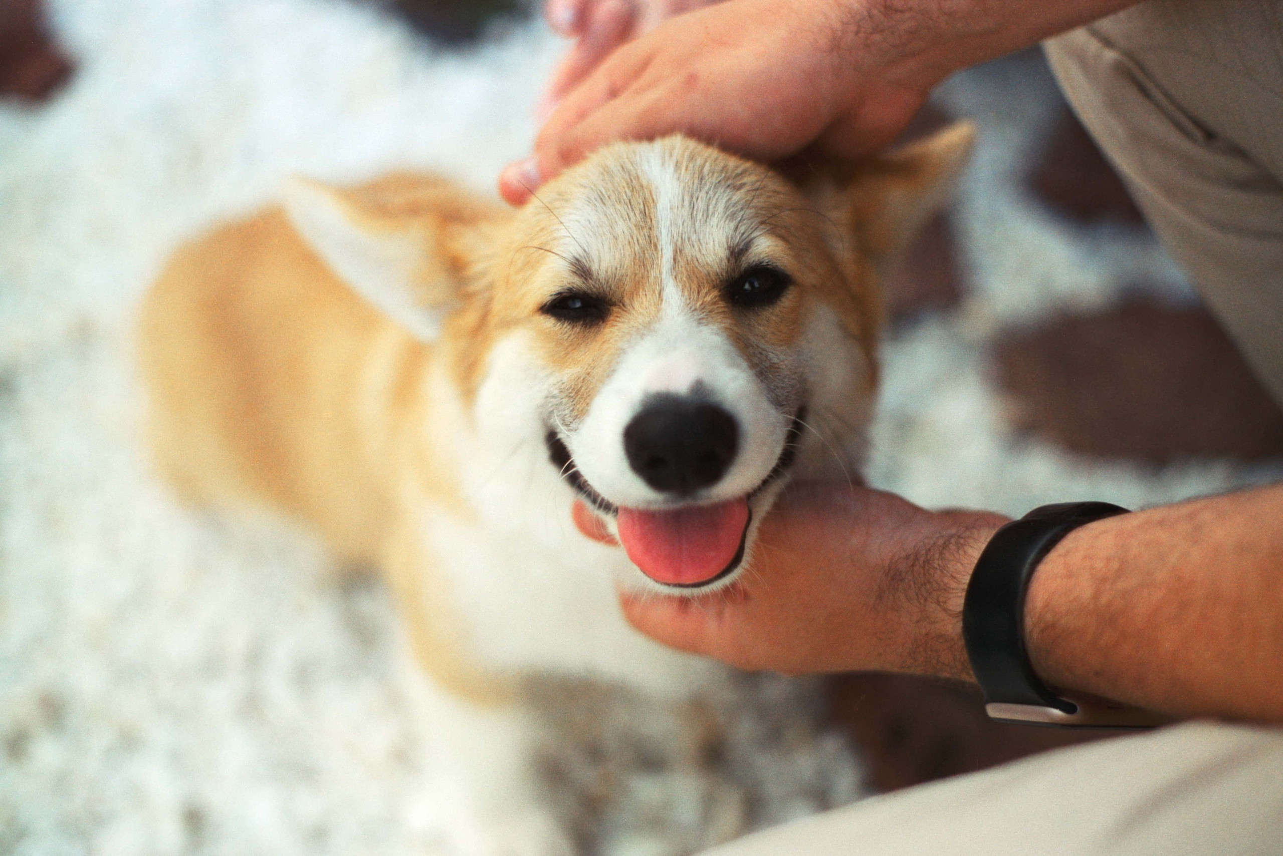 E&V&G. Stylist and film photographer Anastasia Shlokova