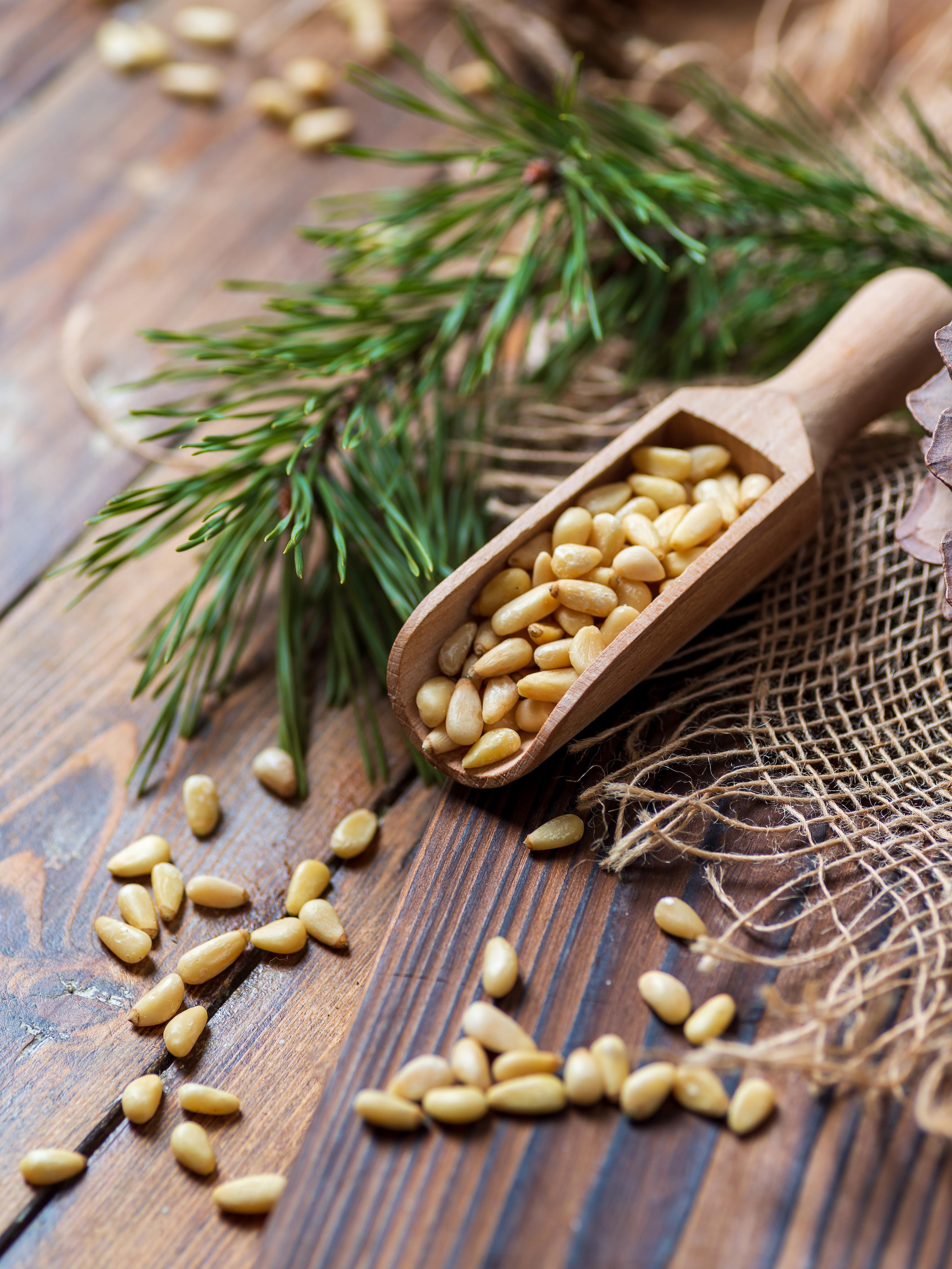 Орехи Kedrus. Фотограф Анастасия Дерий. Каталожная фотосъёмка в Москве