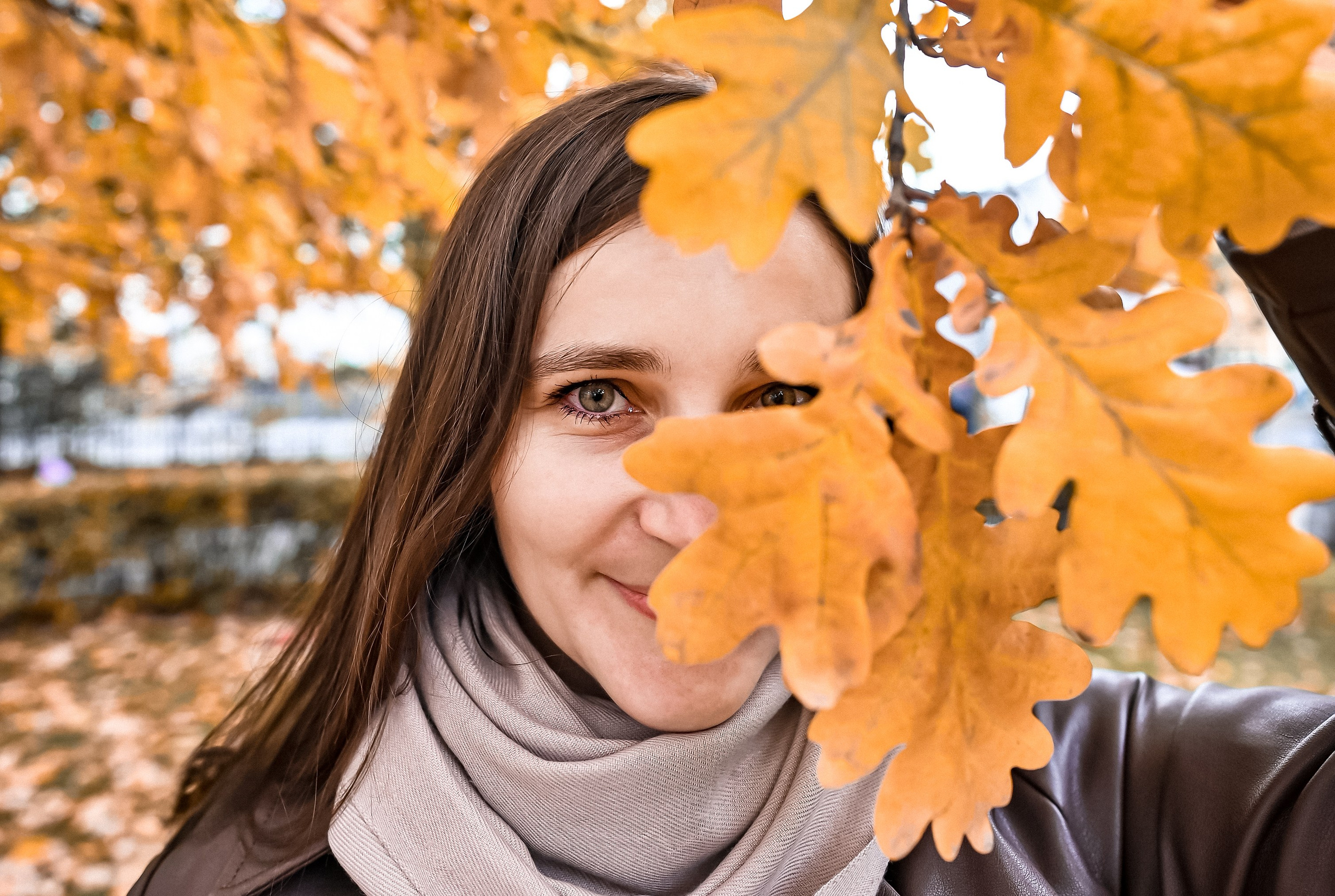 Осень. ZDARONOKIA Репортажный фотограф