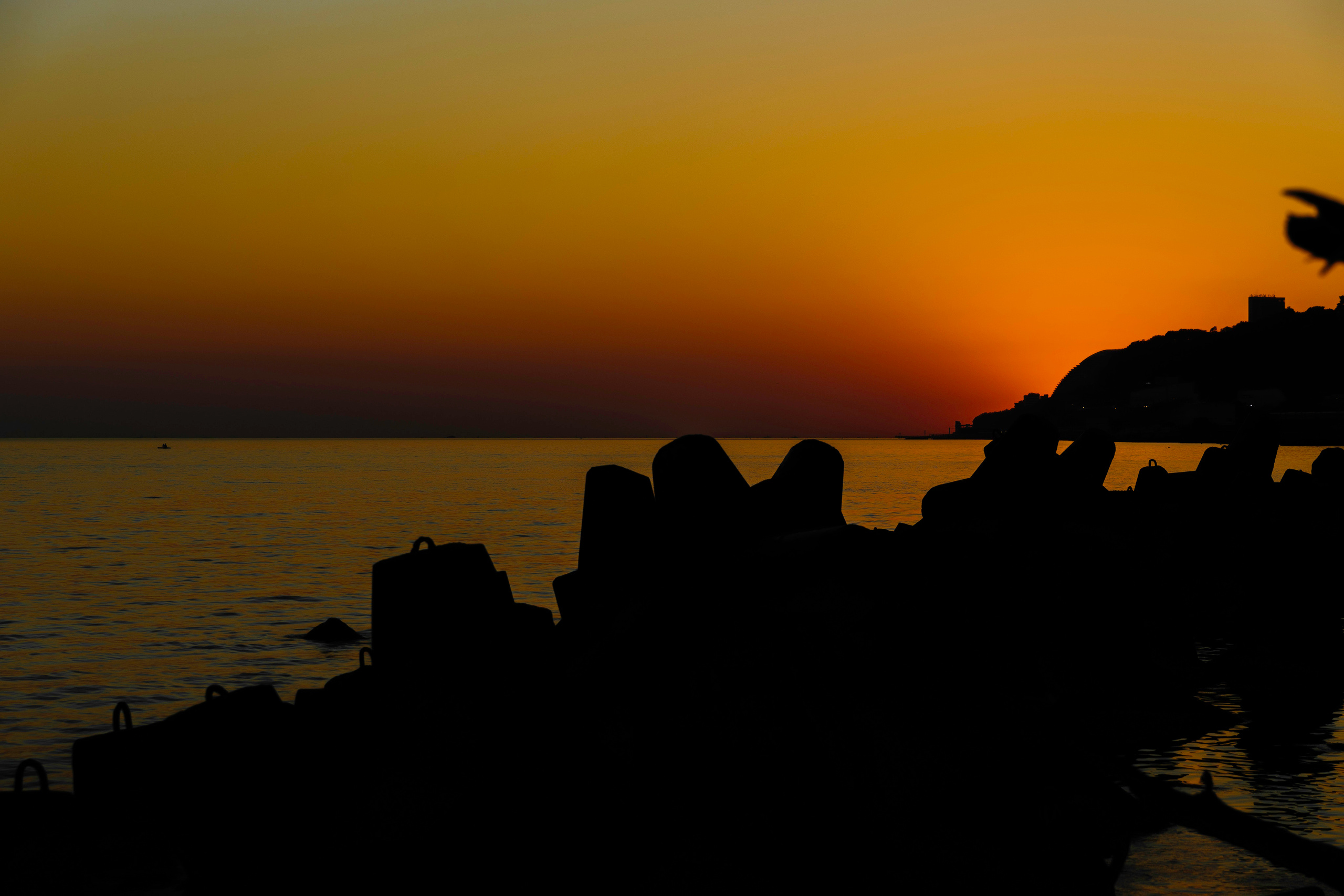 Актуальое. Мелконян Гайк г. Ростов-На-Дону фотограф