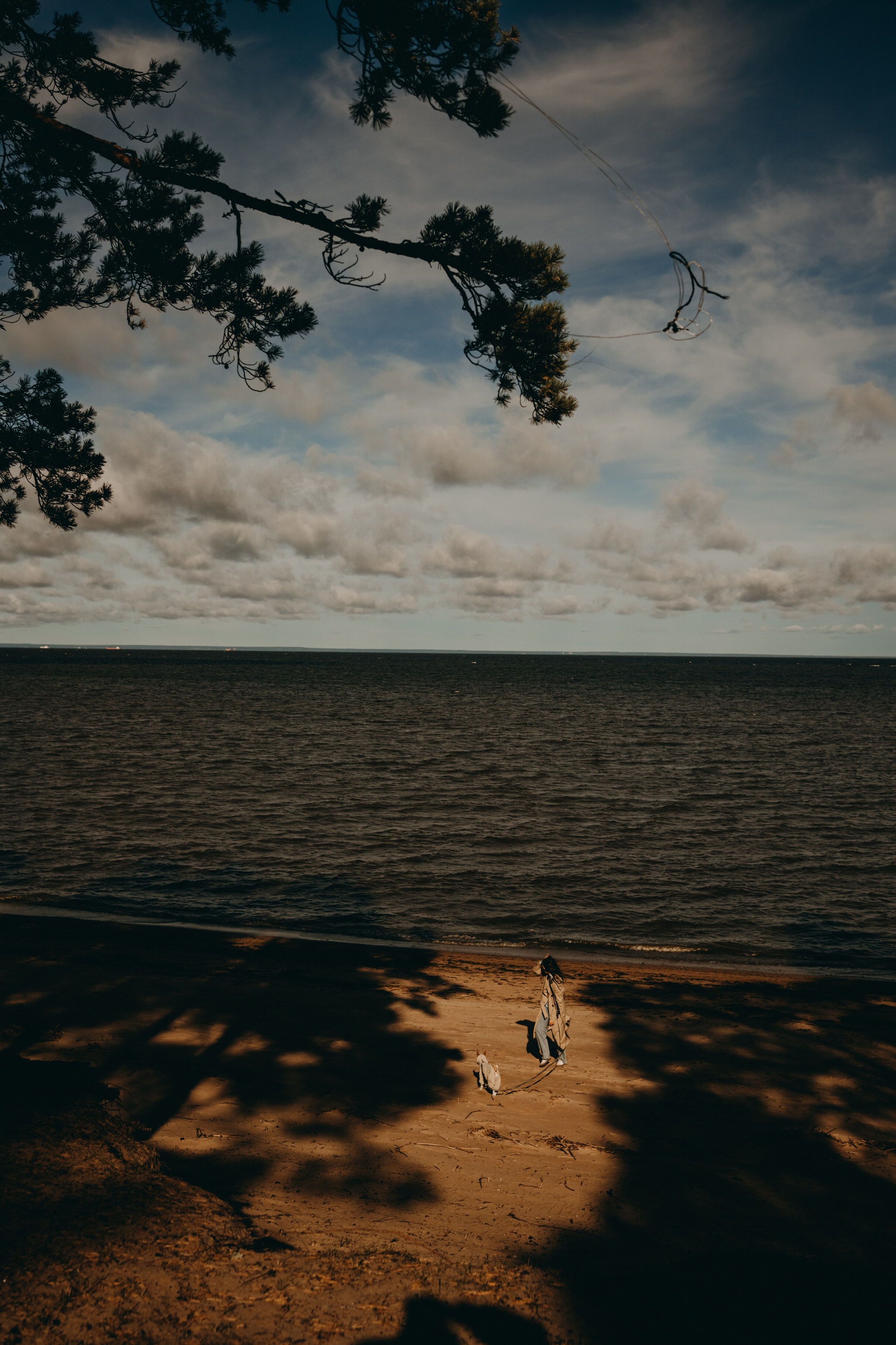 Алиса и Лео. Фотограф — Анималист | Санкт-Петербург