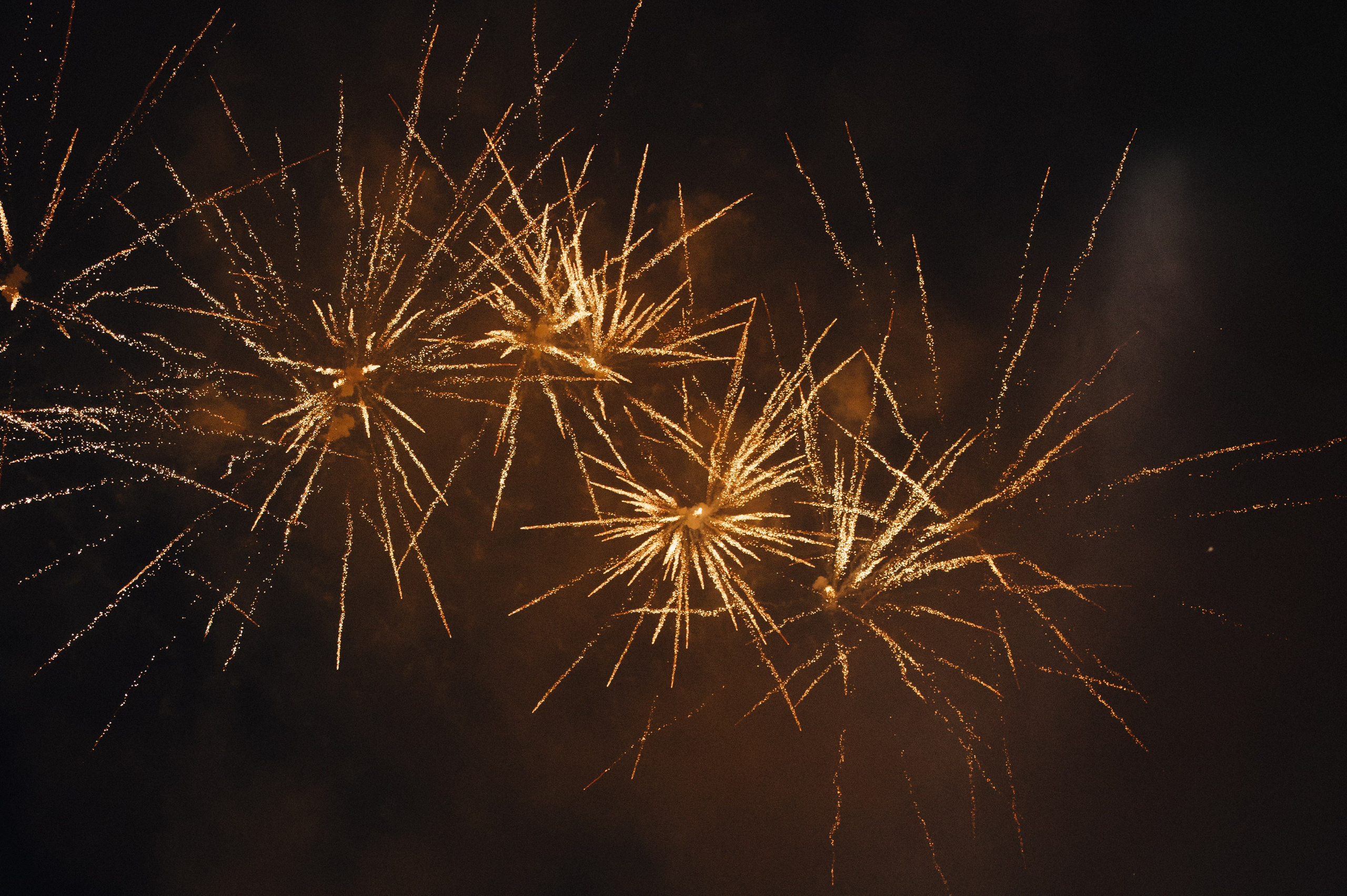 Красивая любовь. Свадебный фотограф в Минске Тагай Наталья