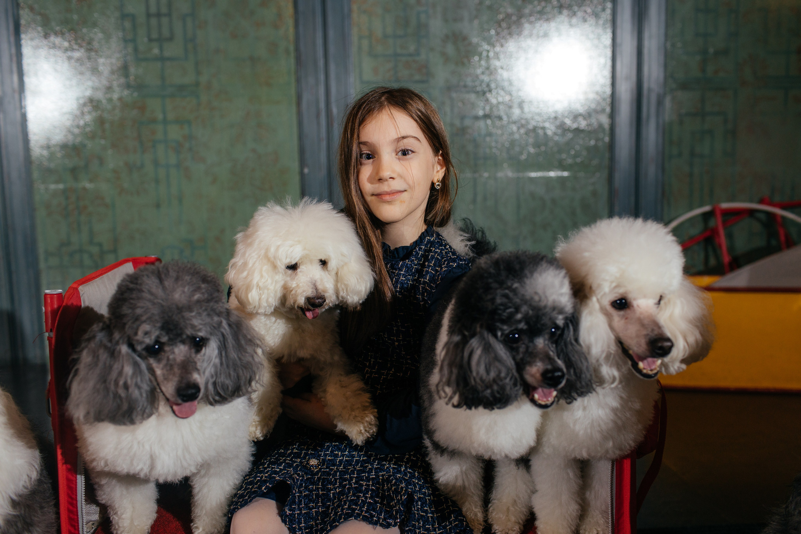 Алине 7 лет. Свадебный и семейный фотограф