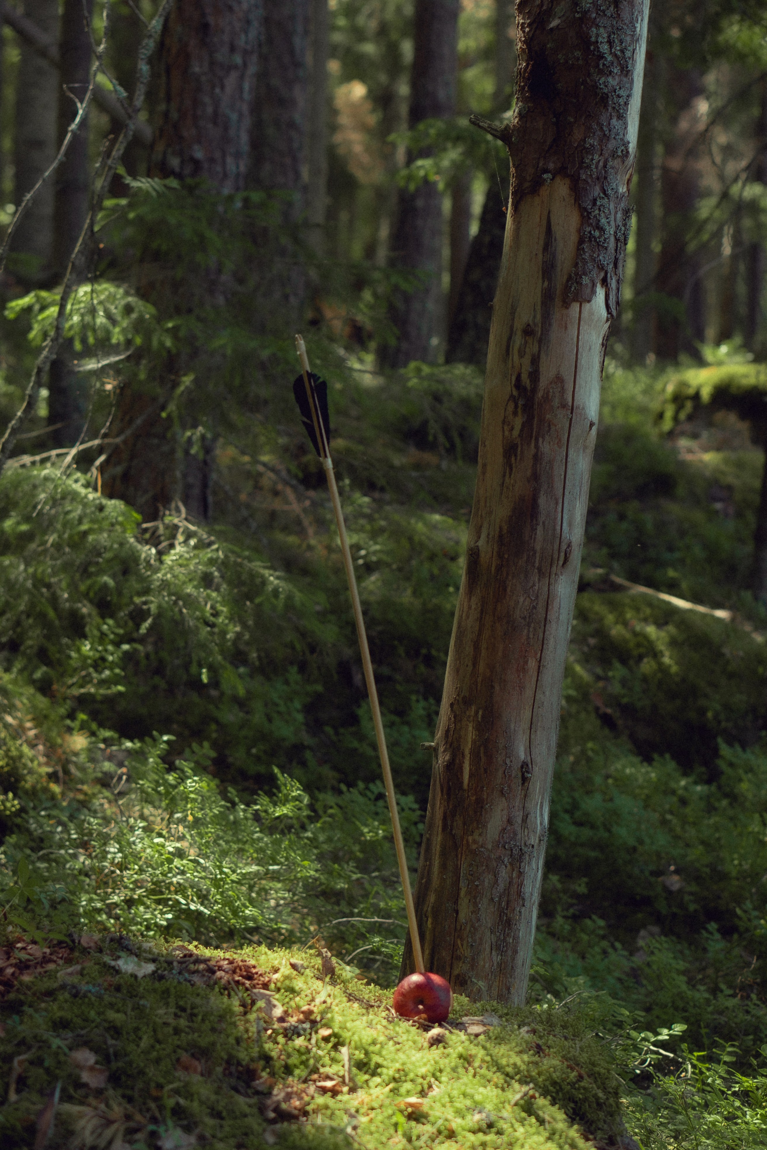 Храбрая Сердцем. Художественный фотограф Салаева Алина