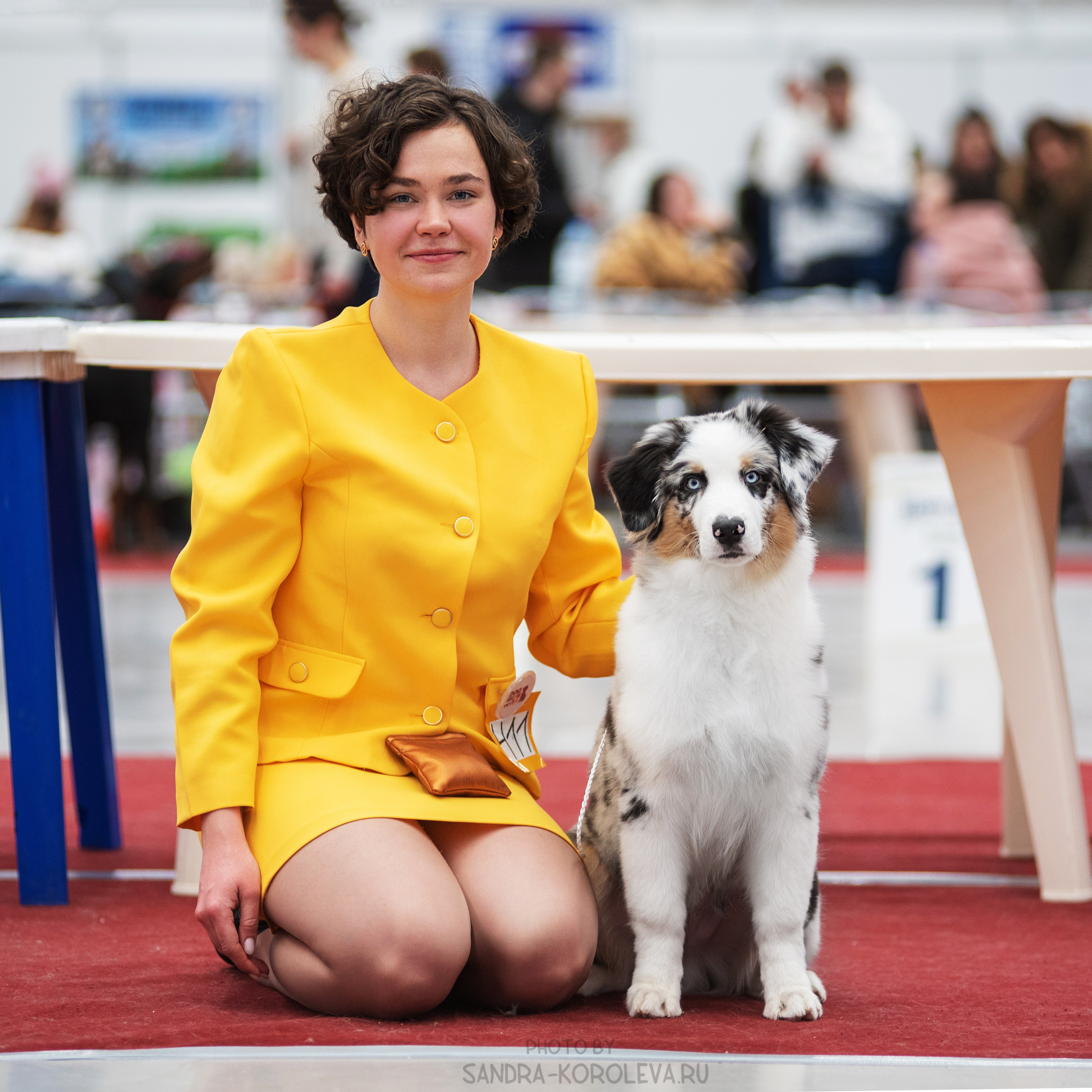 Выставка собак тюмень 14.01.2023. Дог-фотограф в Тюмени Александра Королева