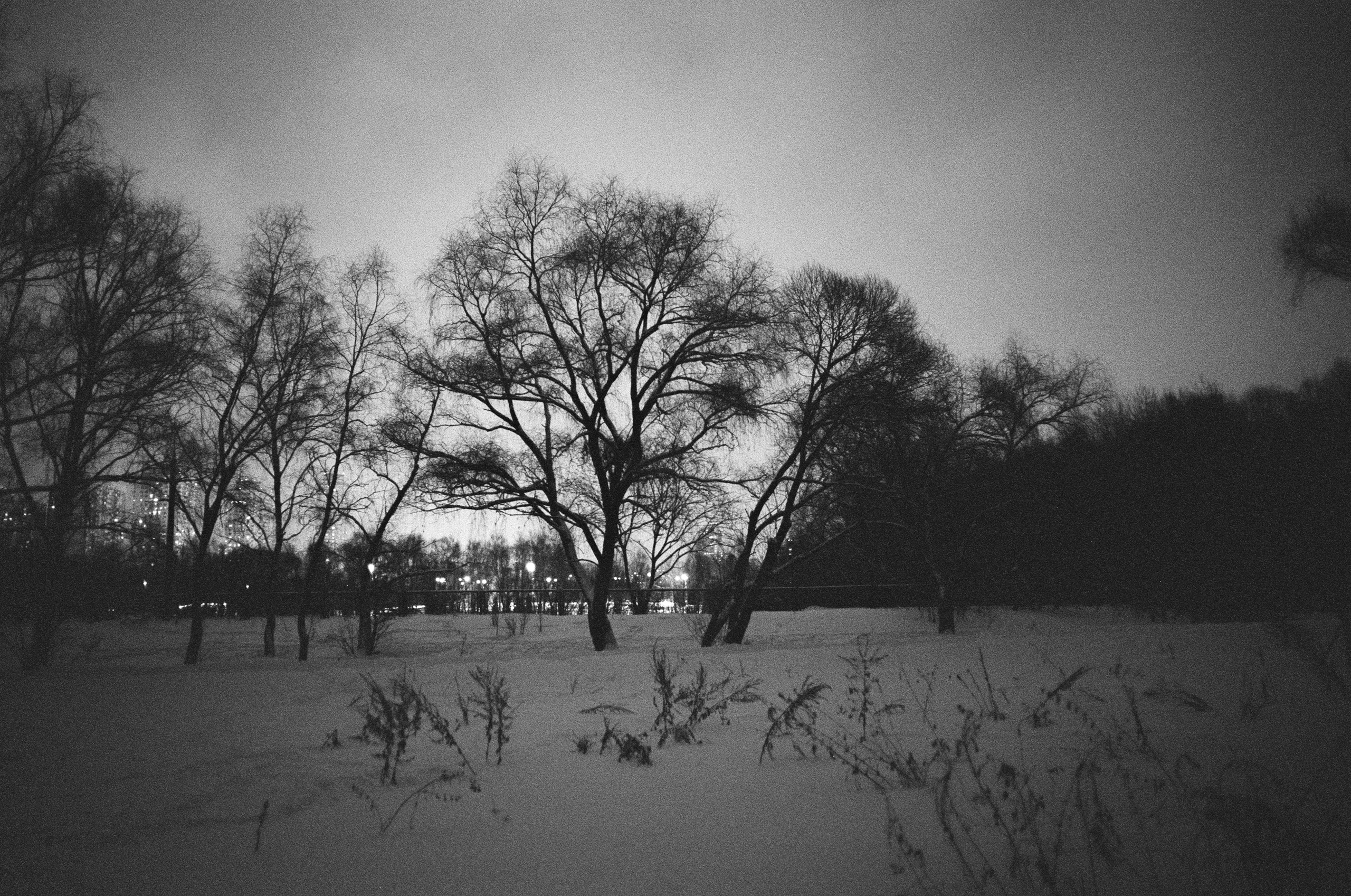 Обзор фотоаппарата Voigtlander BESSA-T. Мои первые впечатления