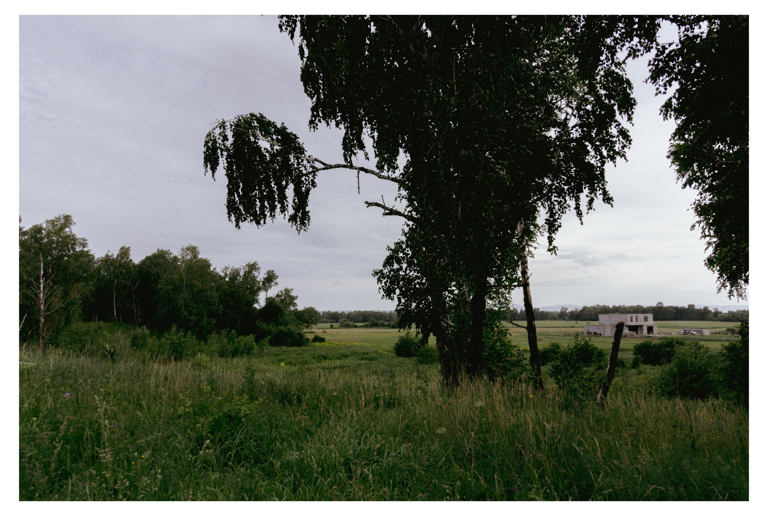 29.06.2025 | Сосновоборск. Kuznetsov | Фотограф в Красноярске