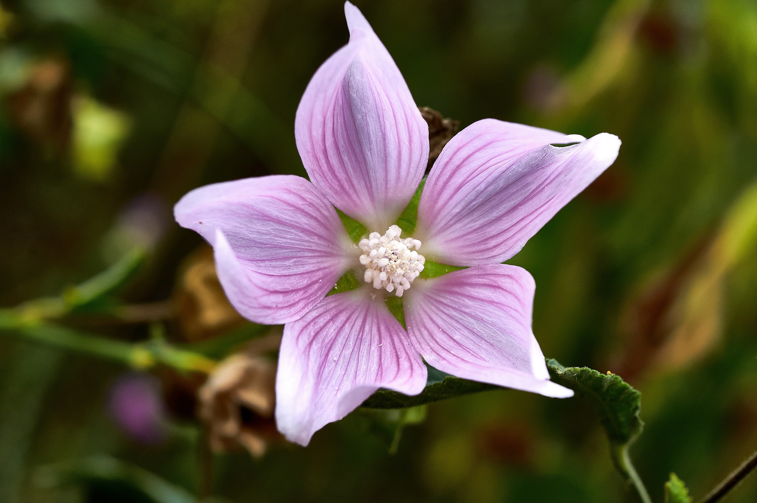 Искусство пейзажа: гармония природы в фотографиях. Координаты красоты — география в фокусе