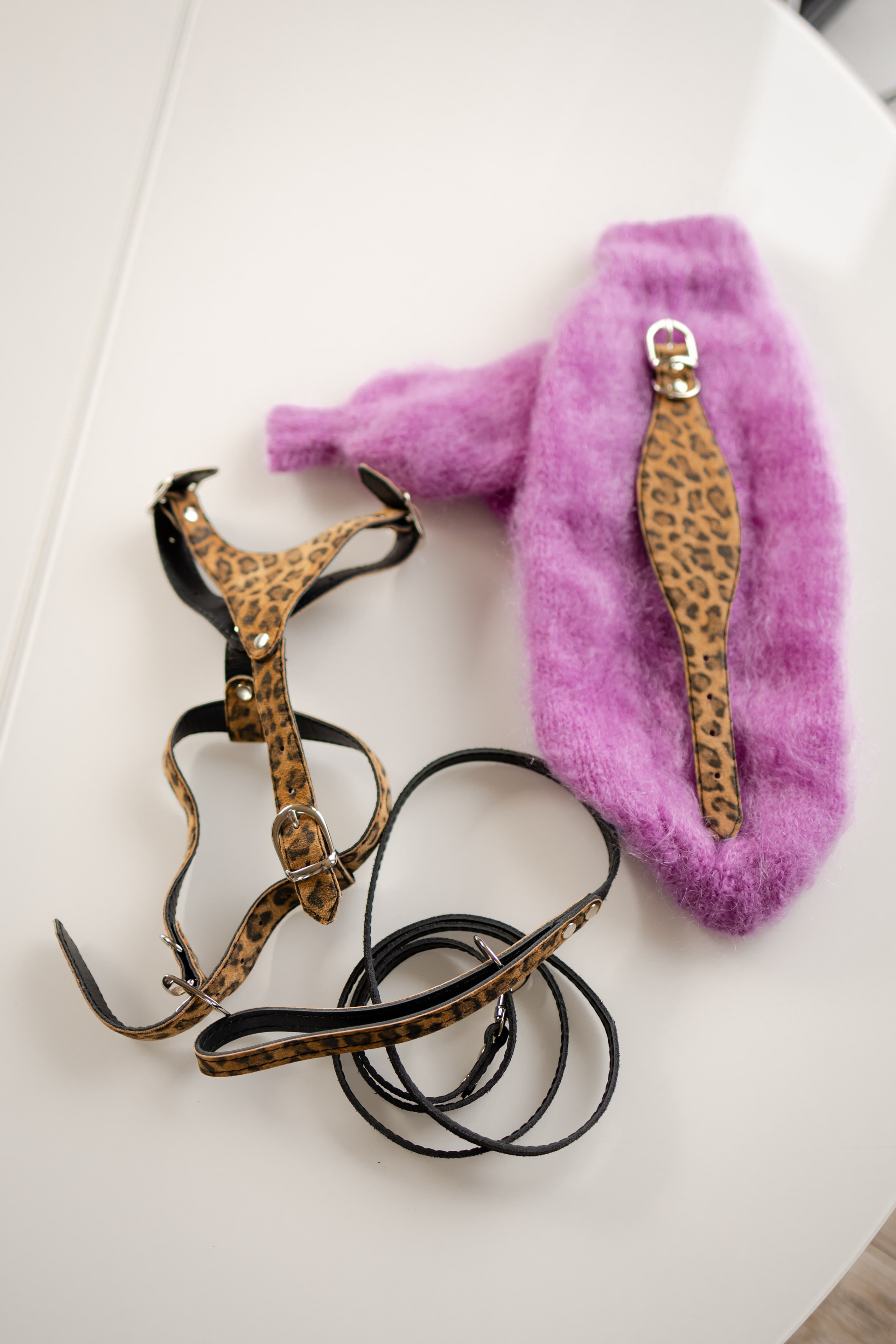 Прогулки. Профессиональный питомник левреток РКФ/FCI ASTI SAPPHIRE 💎 Сочи|Санкт-Петербург