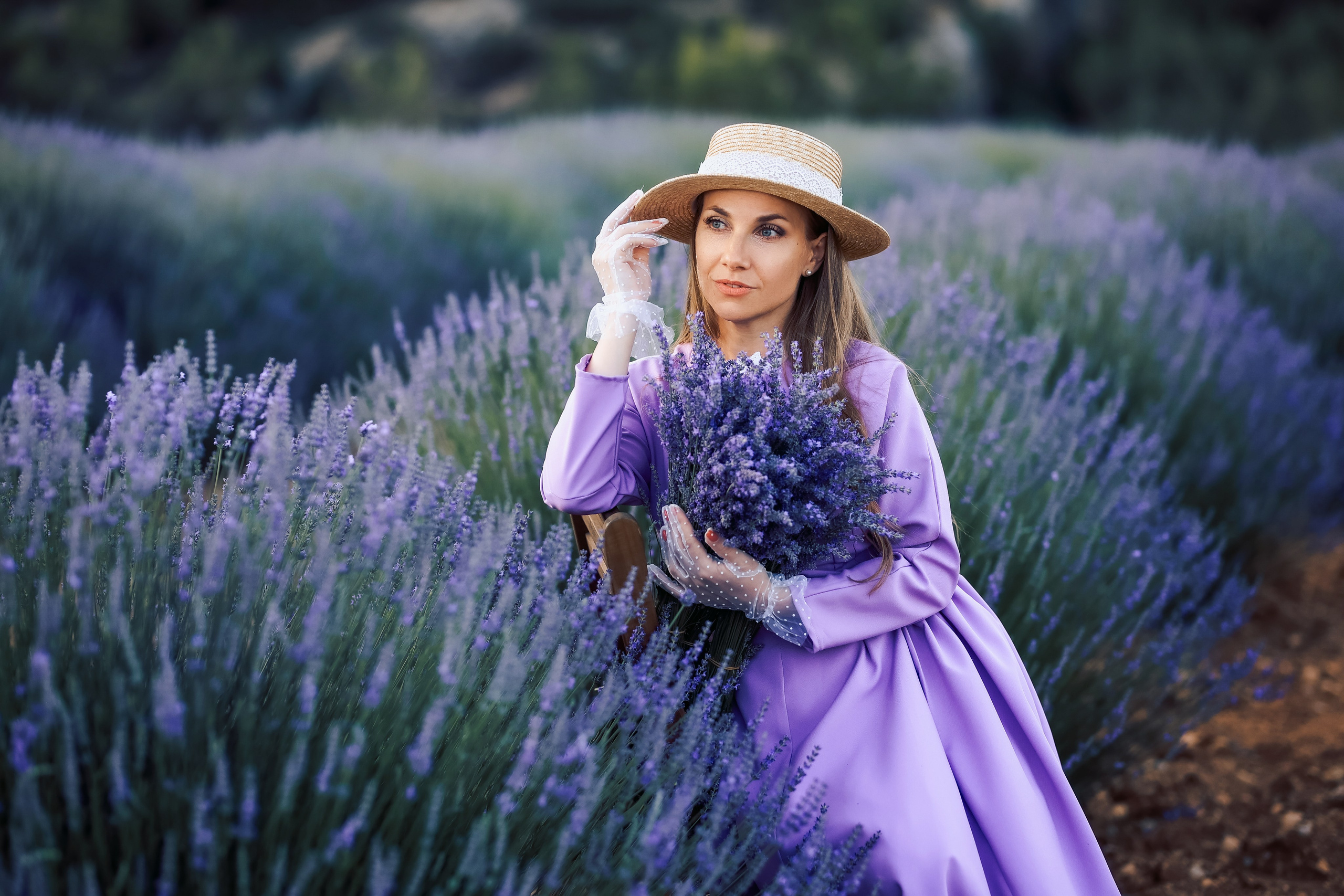 Lavender fields in Turkey