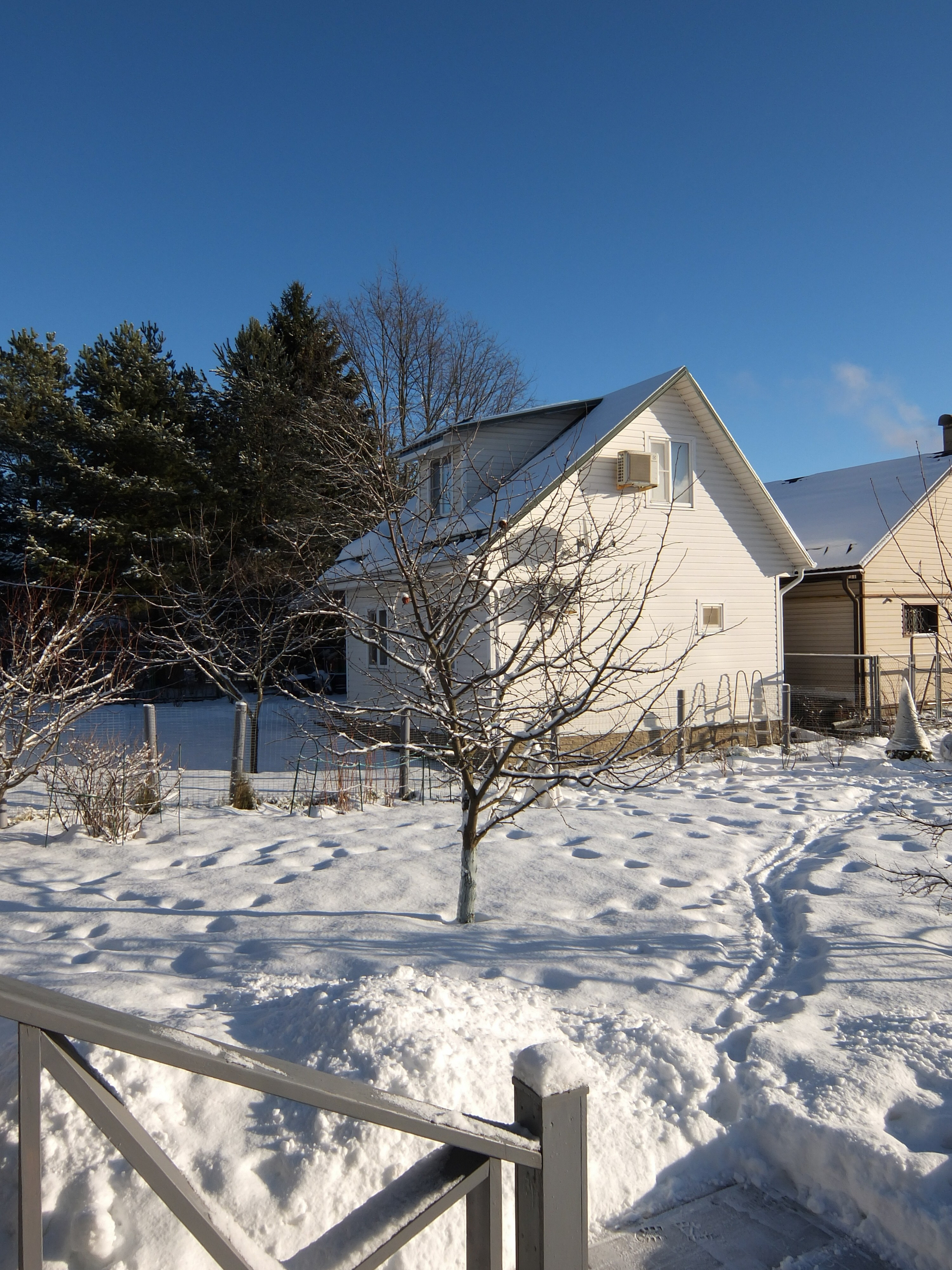 Солнечный день Нового Года. Фотограф-документалист Мария Осокина