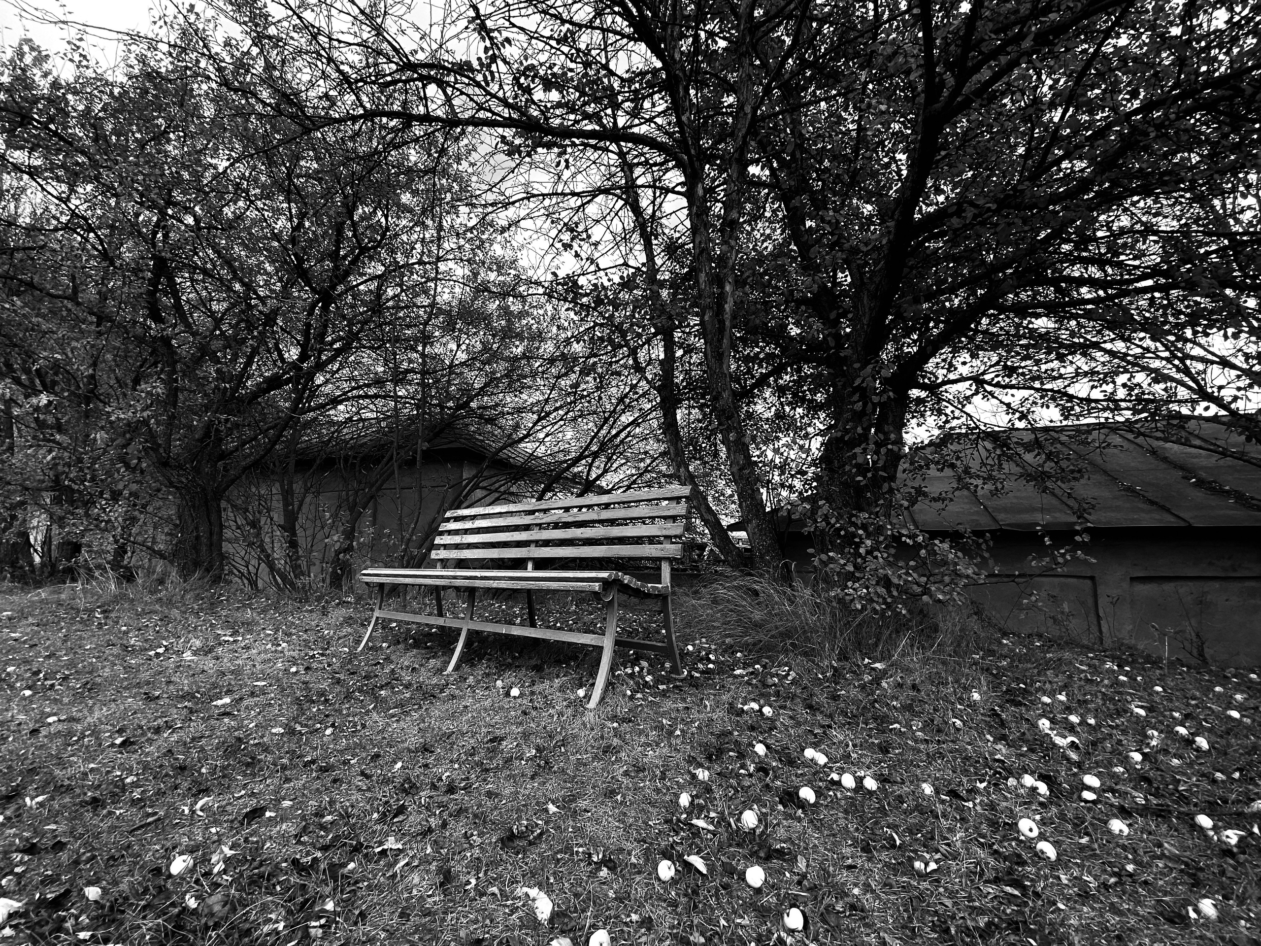 Urban and Street. Oleg Kozachok — Photographer with Protanopia | Portraits, Texture & Light