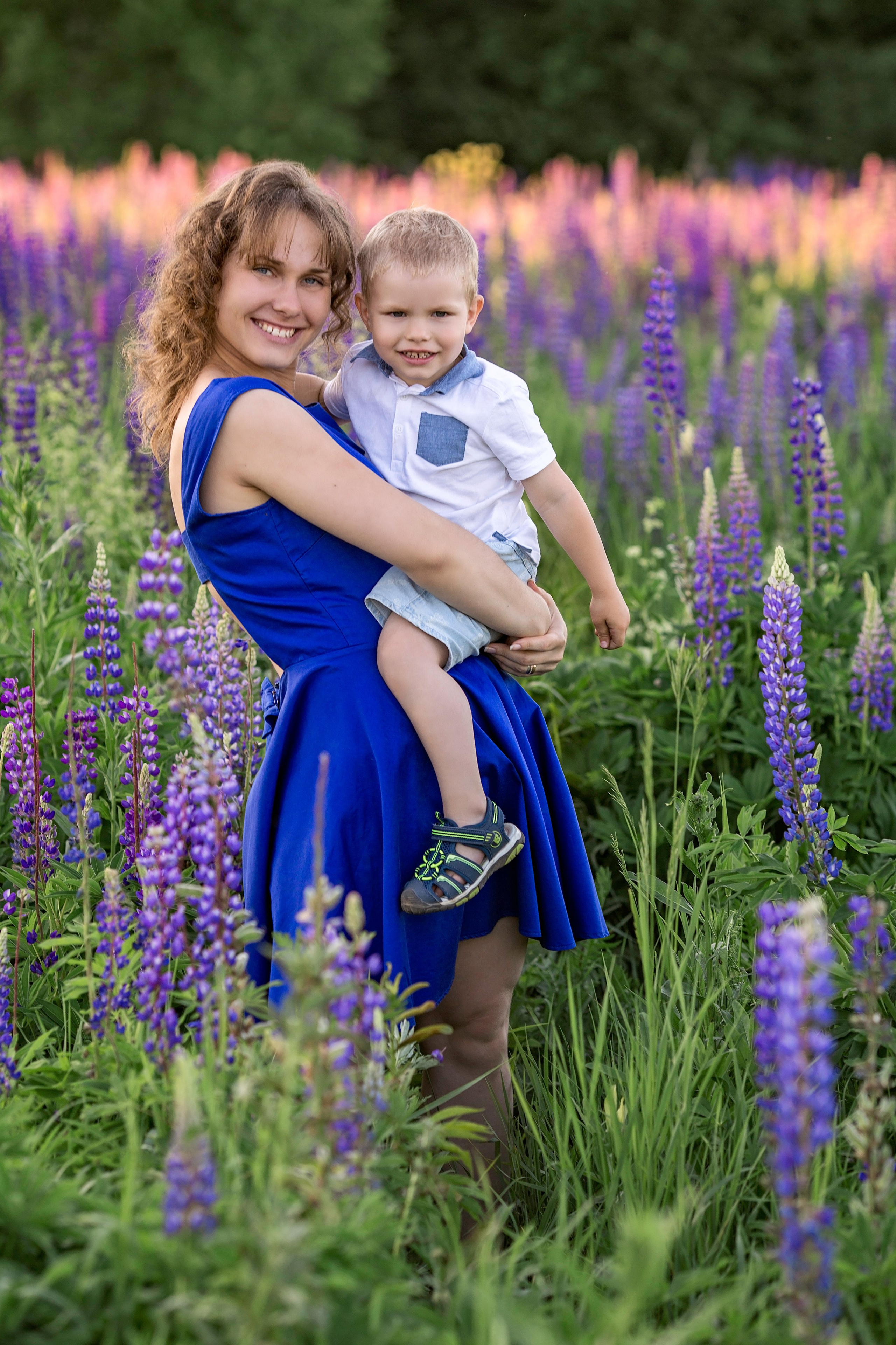 Индивидуальная фотосессия в люпинах (Анна). Главная