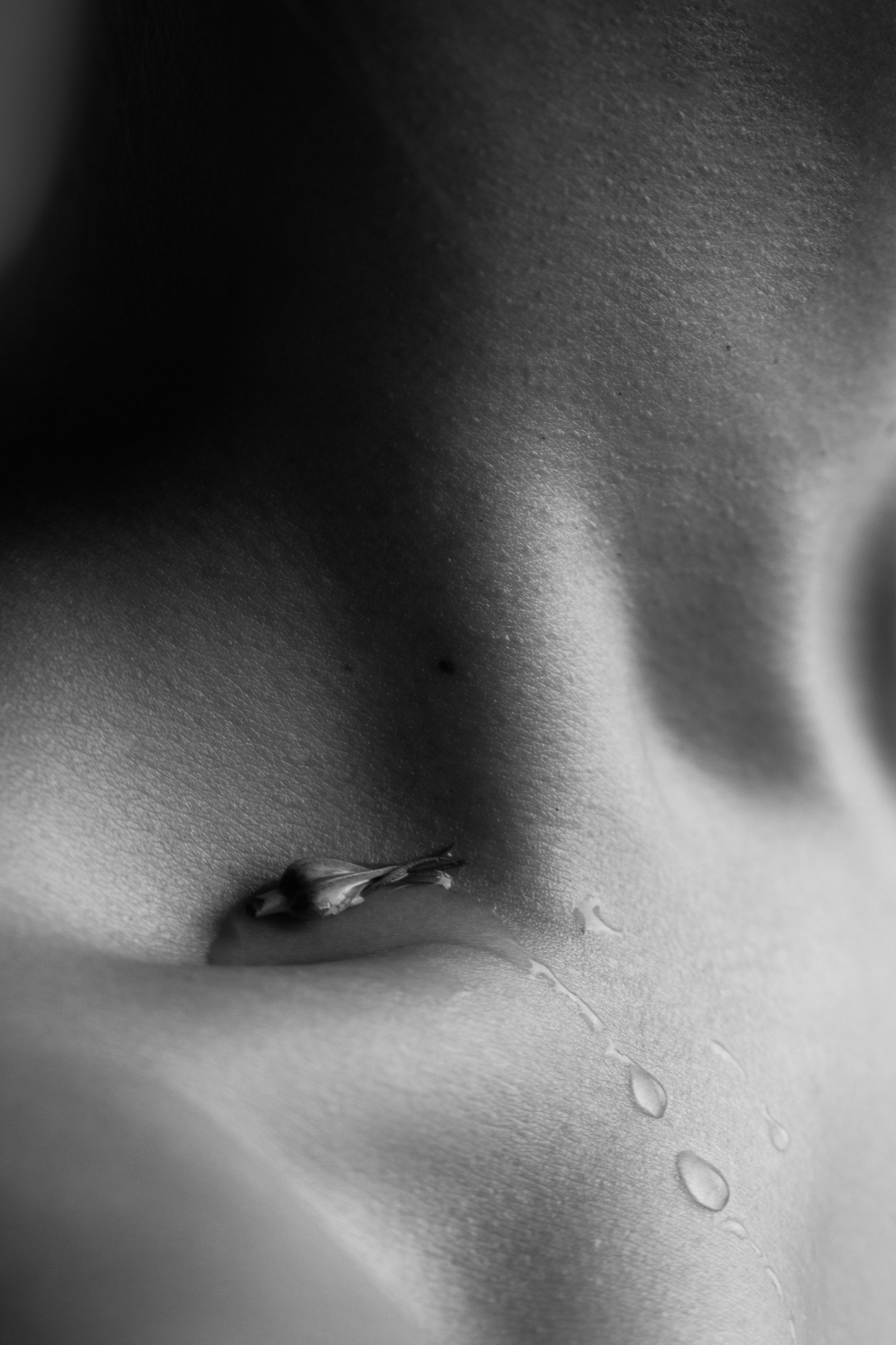 Курс — ПРОявись. Фотограф в городе Москва Меркулова Виктория