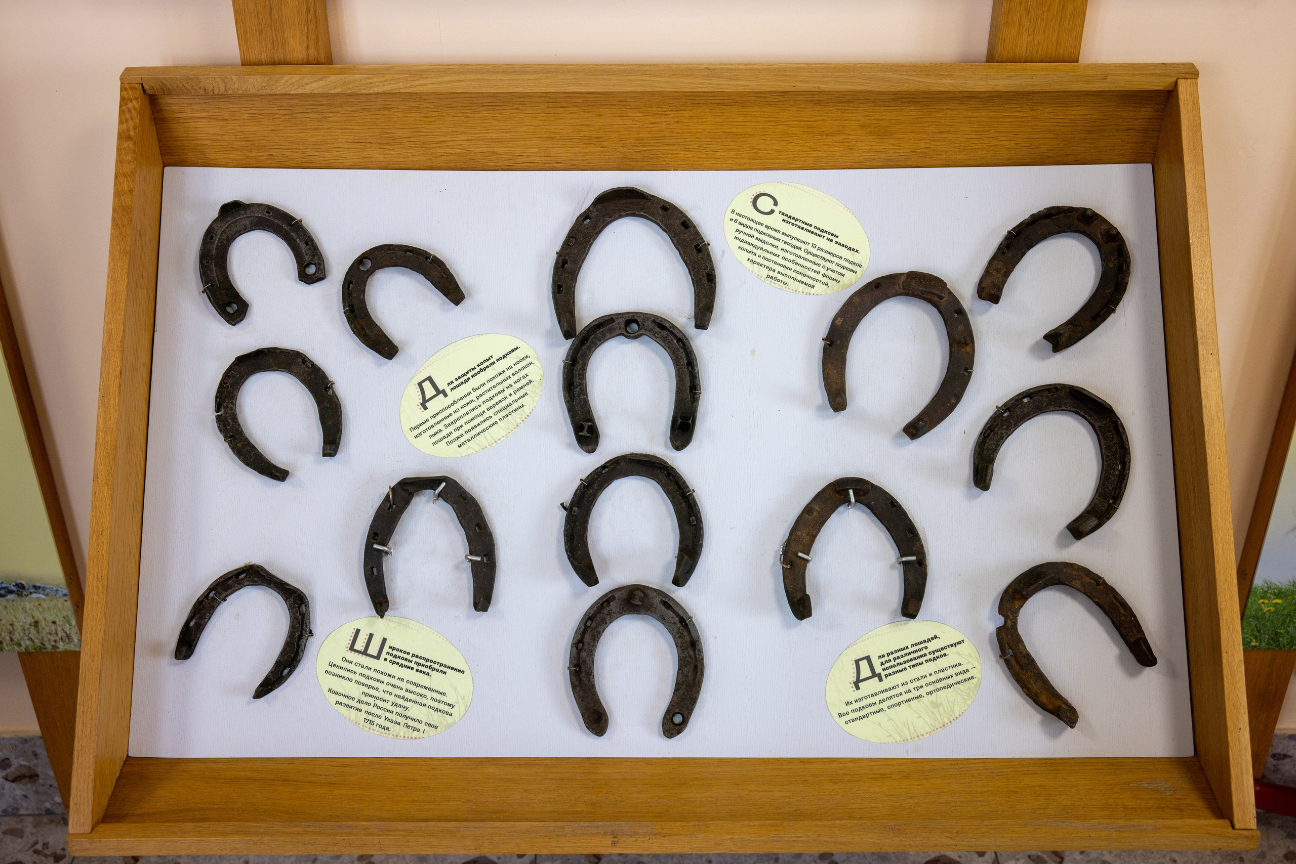 Поездка на поле Кулеково. Фотограф в Туле Крупский АнДРей. Фотостудия «КАДР71» в Туле