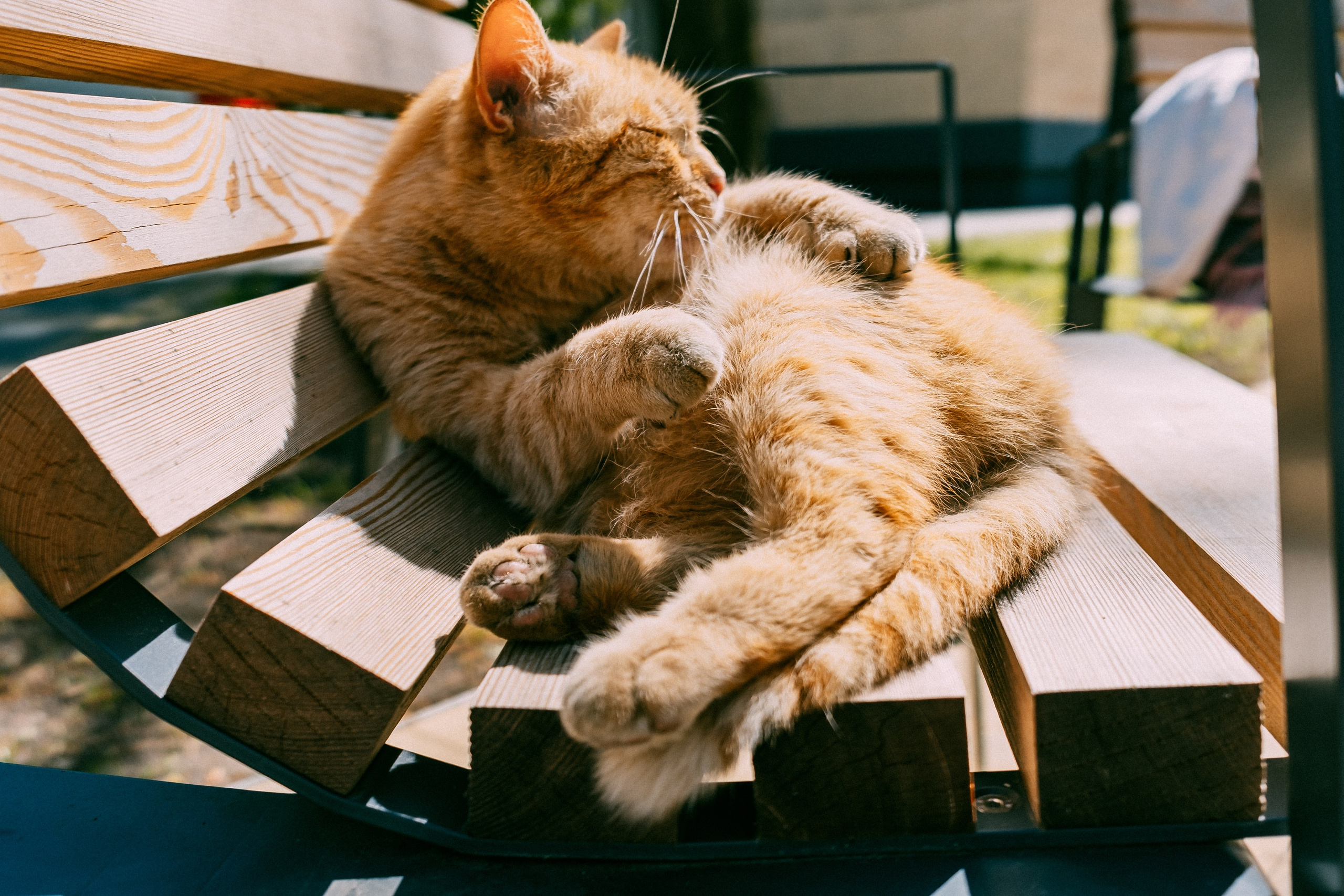 Зеленоградск. Аня Степанова