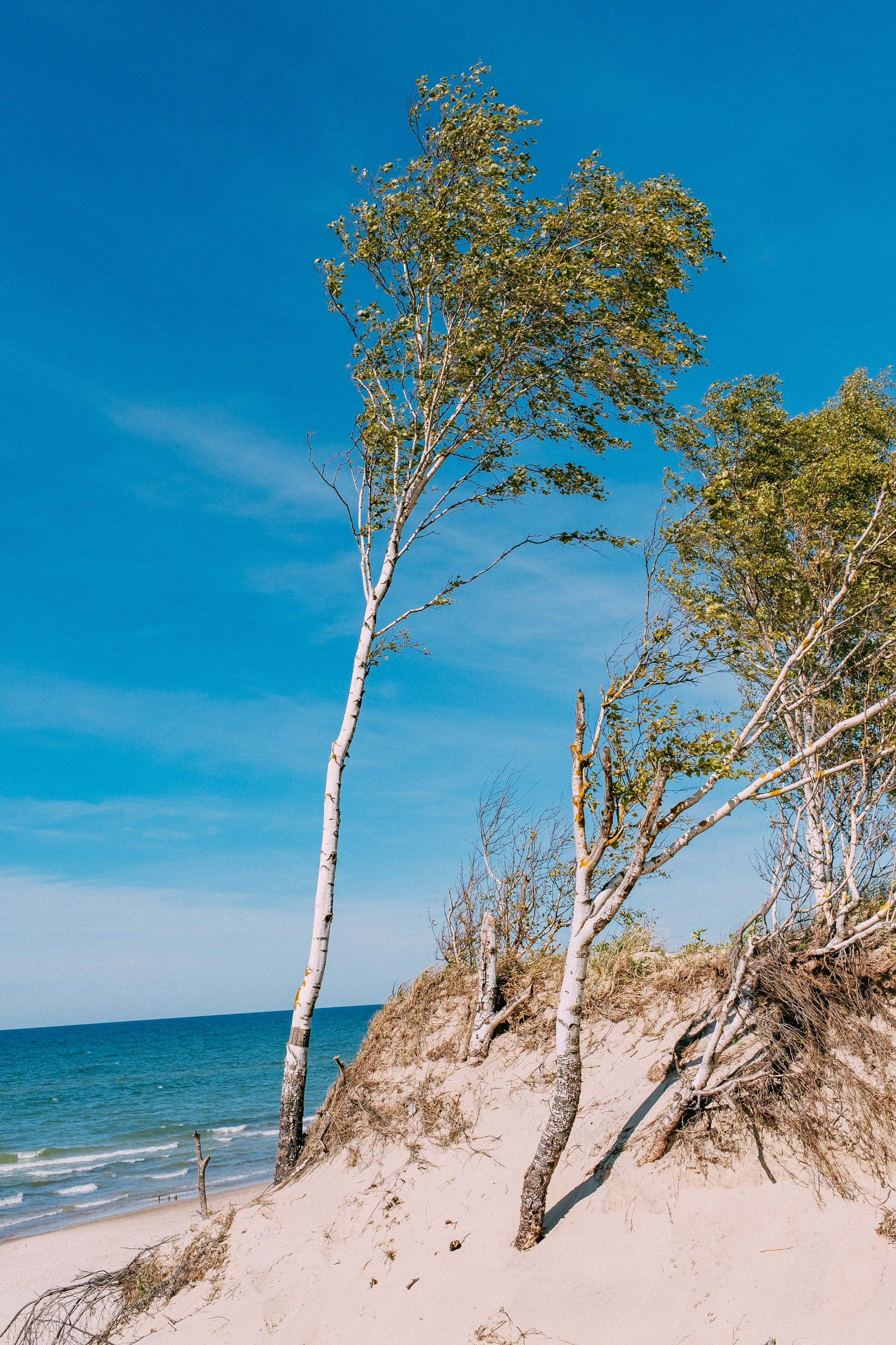 Зеленоградск. Аня Степанова