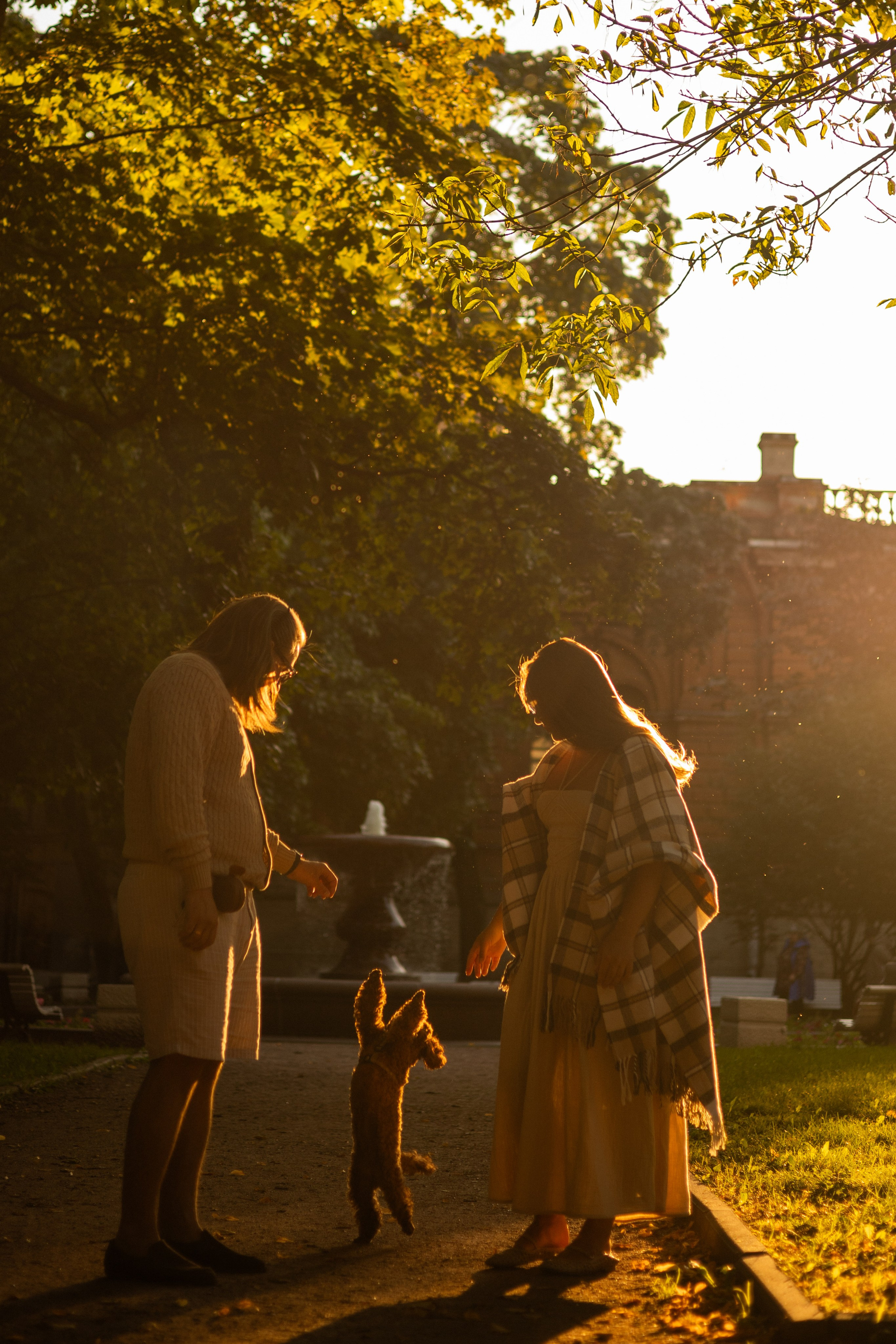 Мишель и её семья. Фотограф — анималист •love-story•|Санкт-Петербург