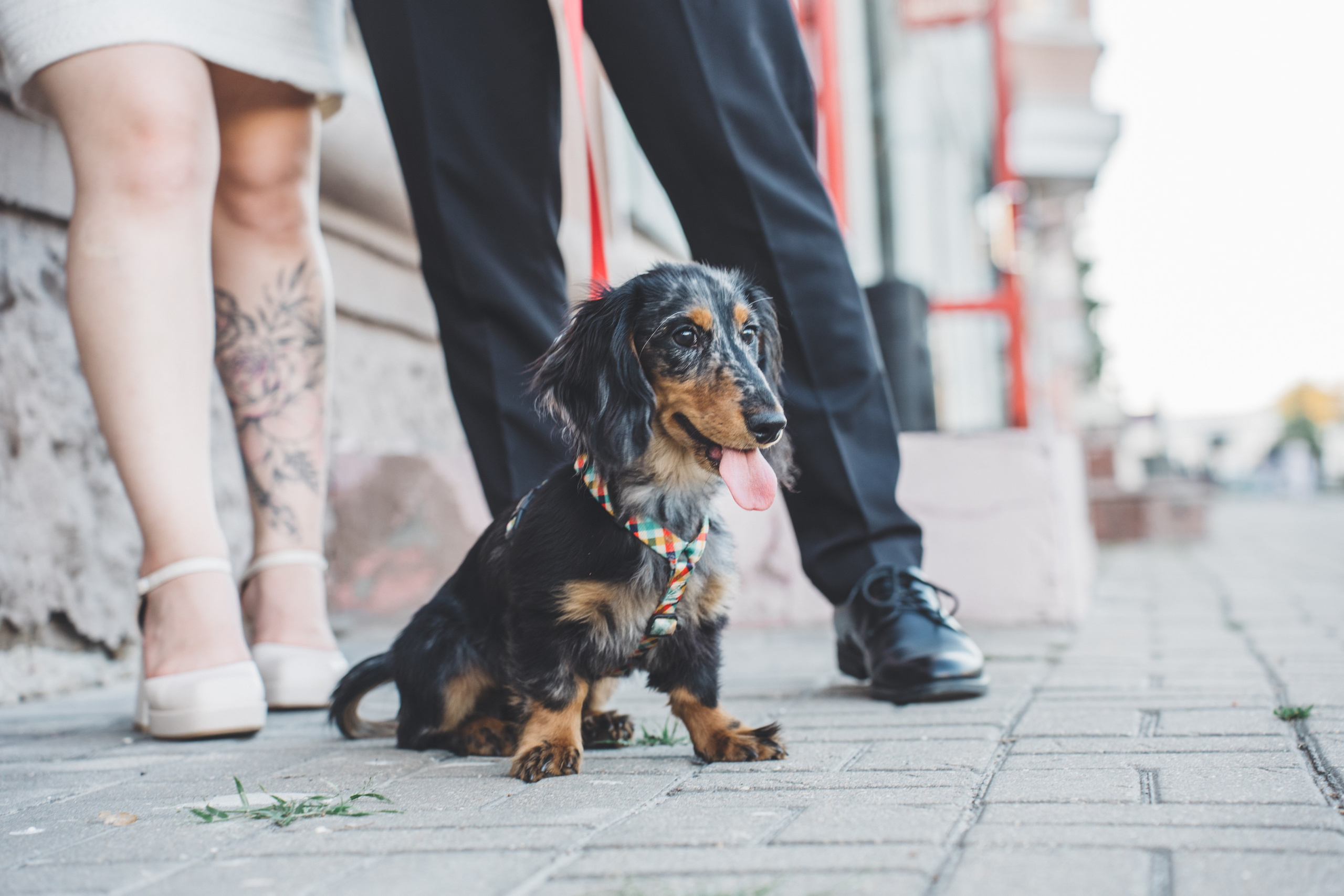 KSMU Students Graduation. Свадебный и семейный видеограф в Курске