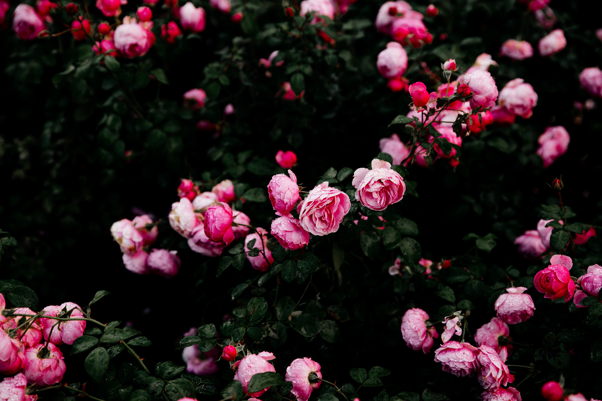 Кавказ осень 2021. Фотограф в Ростове-на-Дону