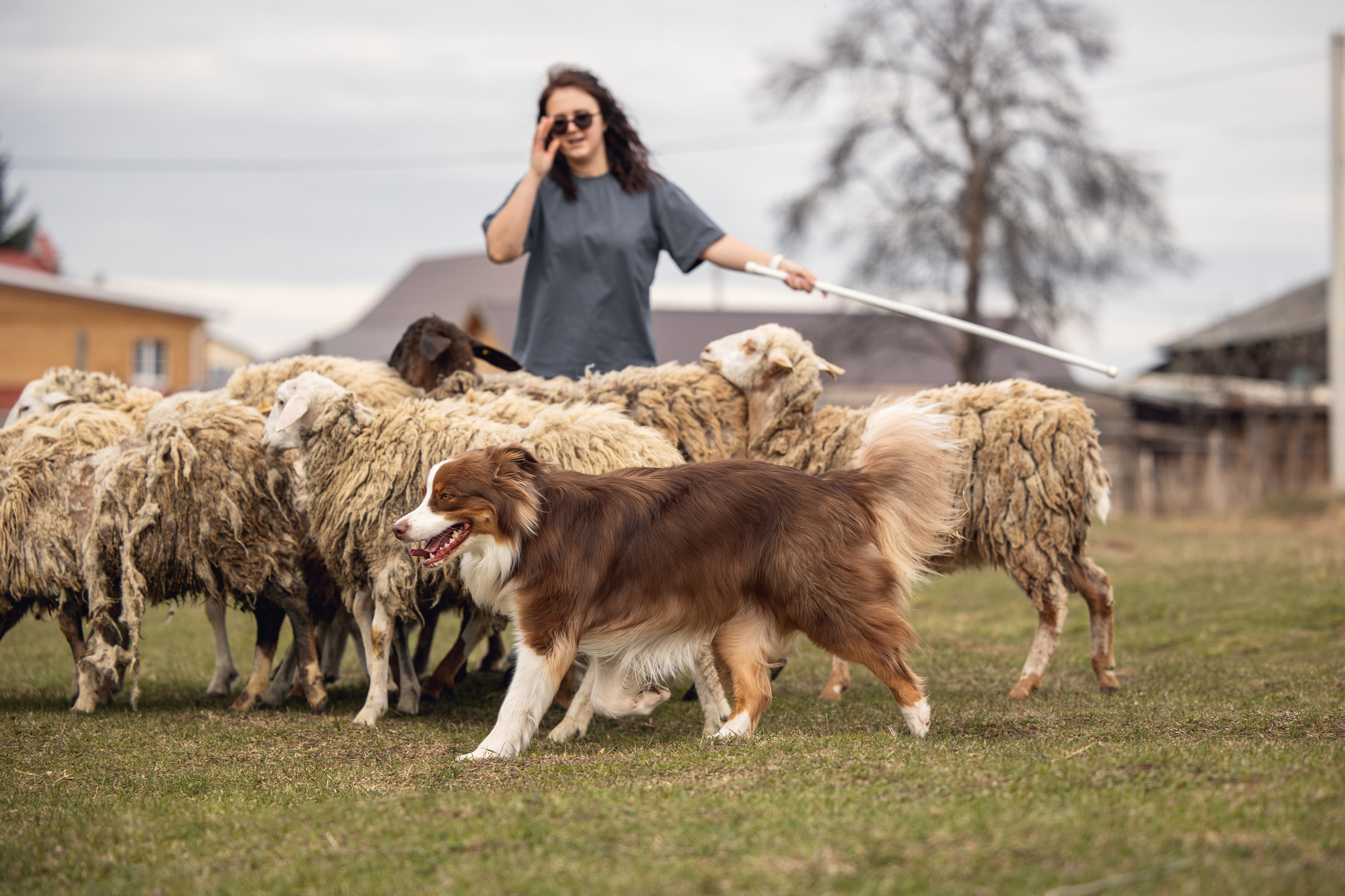 Анна и Вуди. YULA KOLESOVA | Фотограф — Анималист | Художник | Тюмень